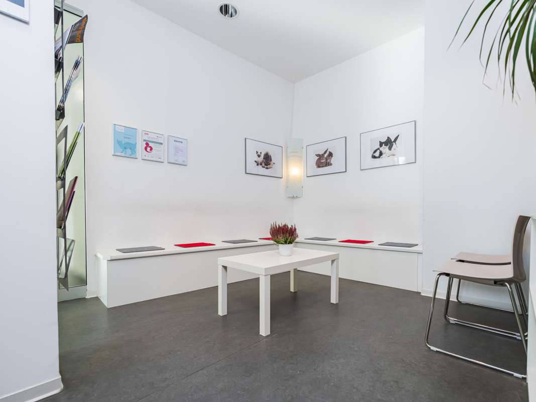Ansicht 5 von Tierarzt Berlin, vets for cats Berlin - Tierarztpraxis für Katzen