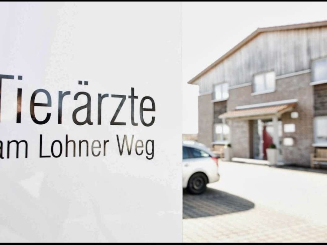 Ansicht 1 von Ihre Tierärzte am Lohner Weg | Fachtierärztliche Praxis für Kleintiere