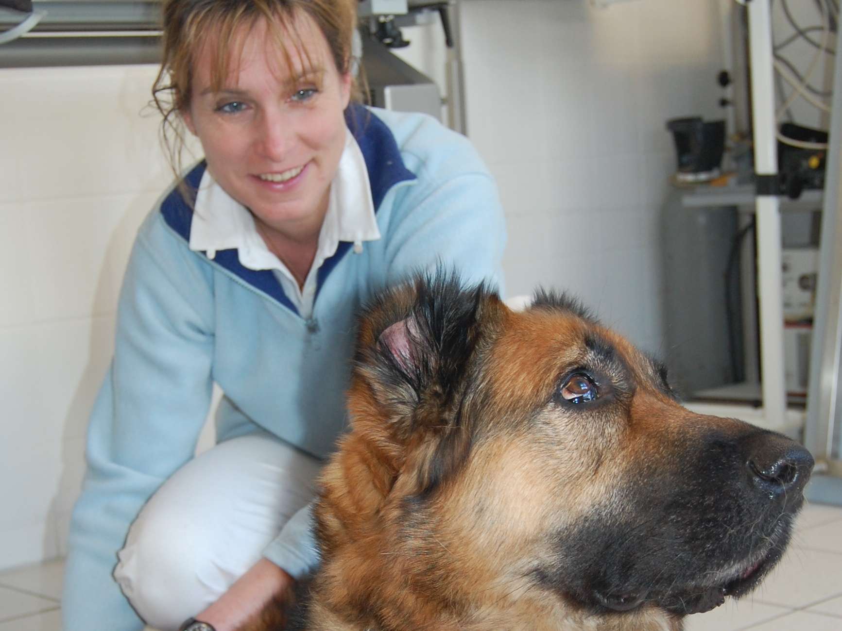 Ansicht 4 von Dr.med.vet. Gabriela Bleßmann, ganzheitliche Tierarztpraxis