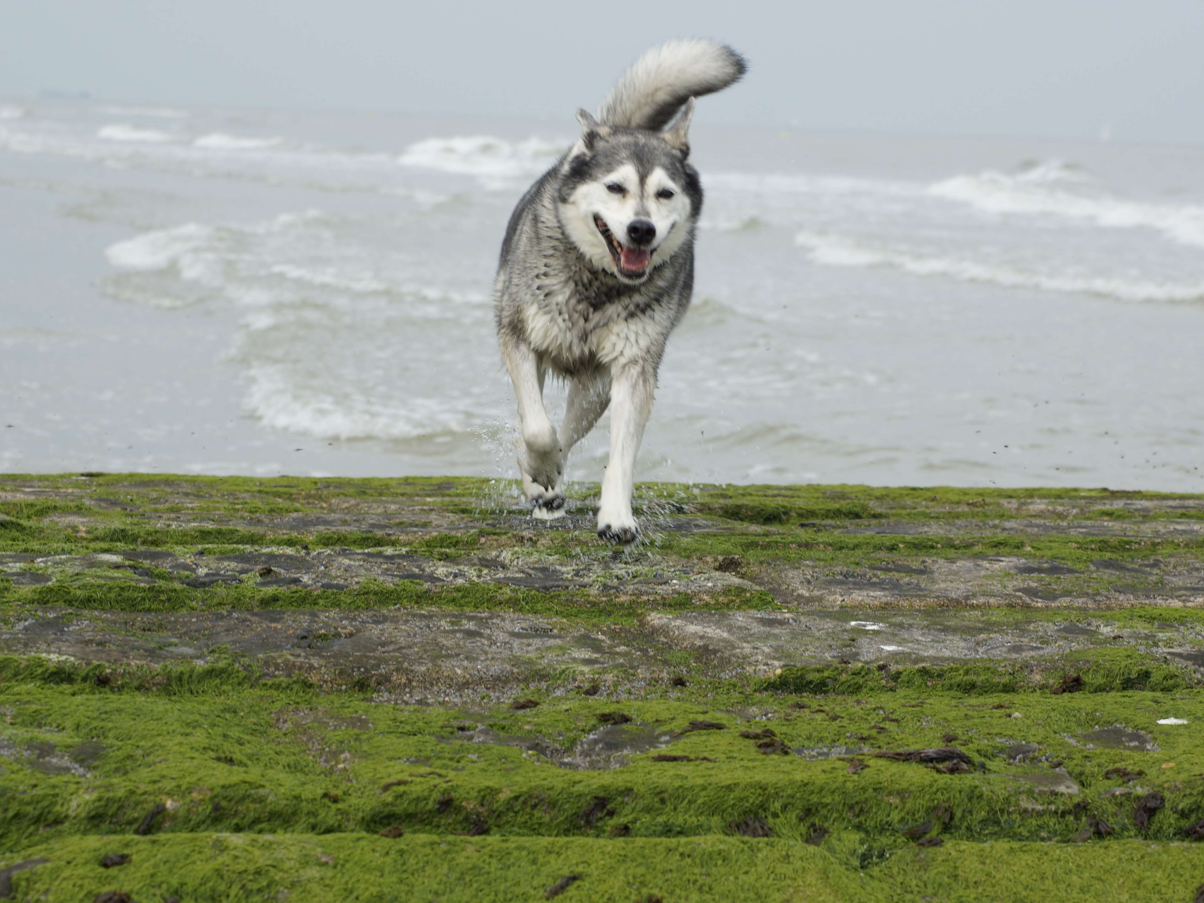 Ansicht 1 von Tierarztpraxis Pfahl-Kreis, pets-in-motion