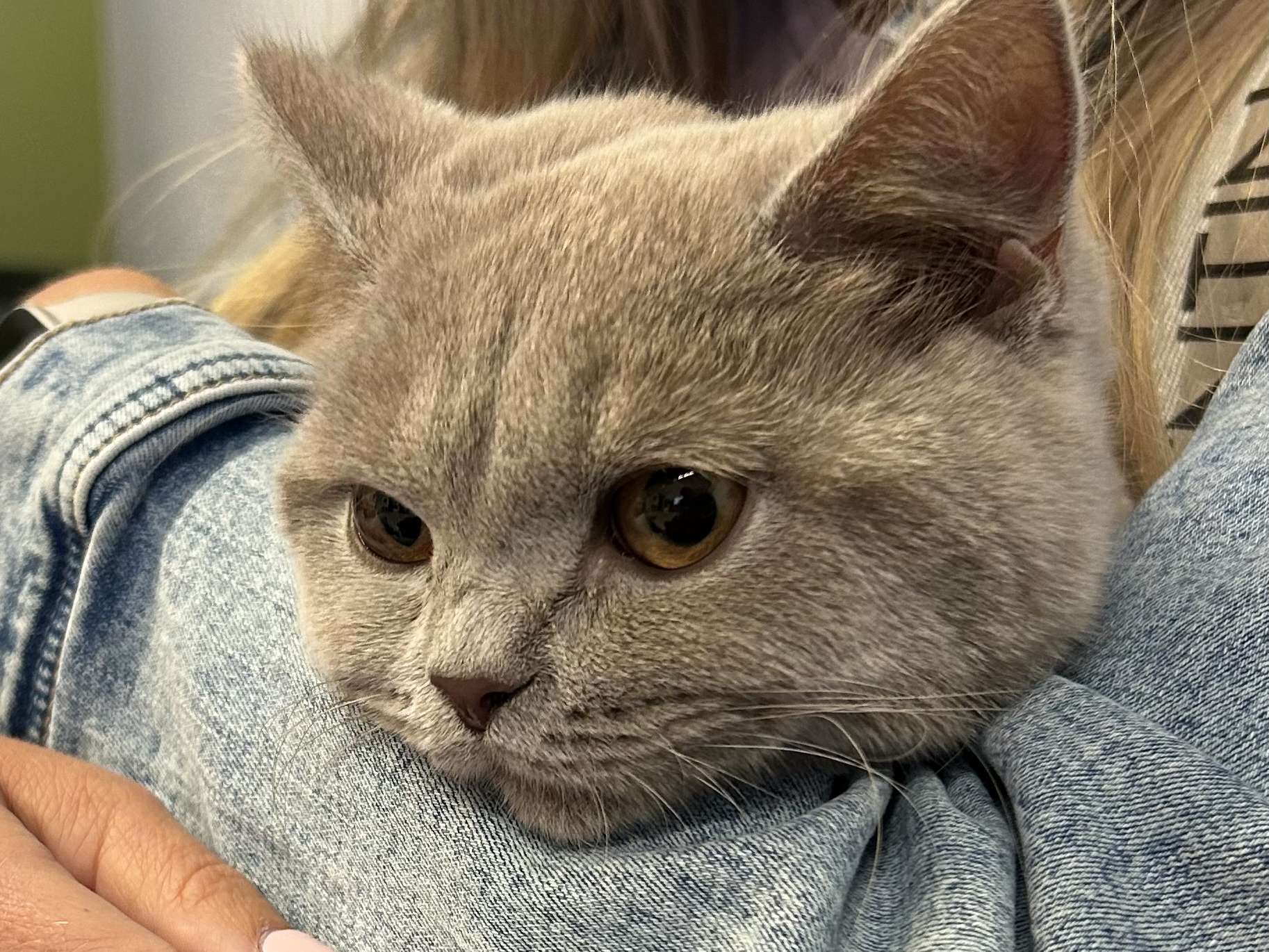 Ansicht 2 von Tierklinik für Naturheilkunde am Förderturm mit Tierärztlicher Abteilung