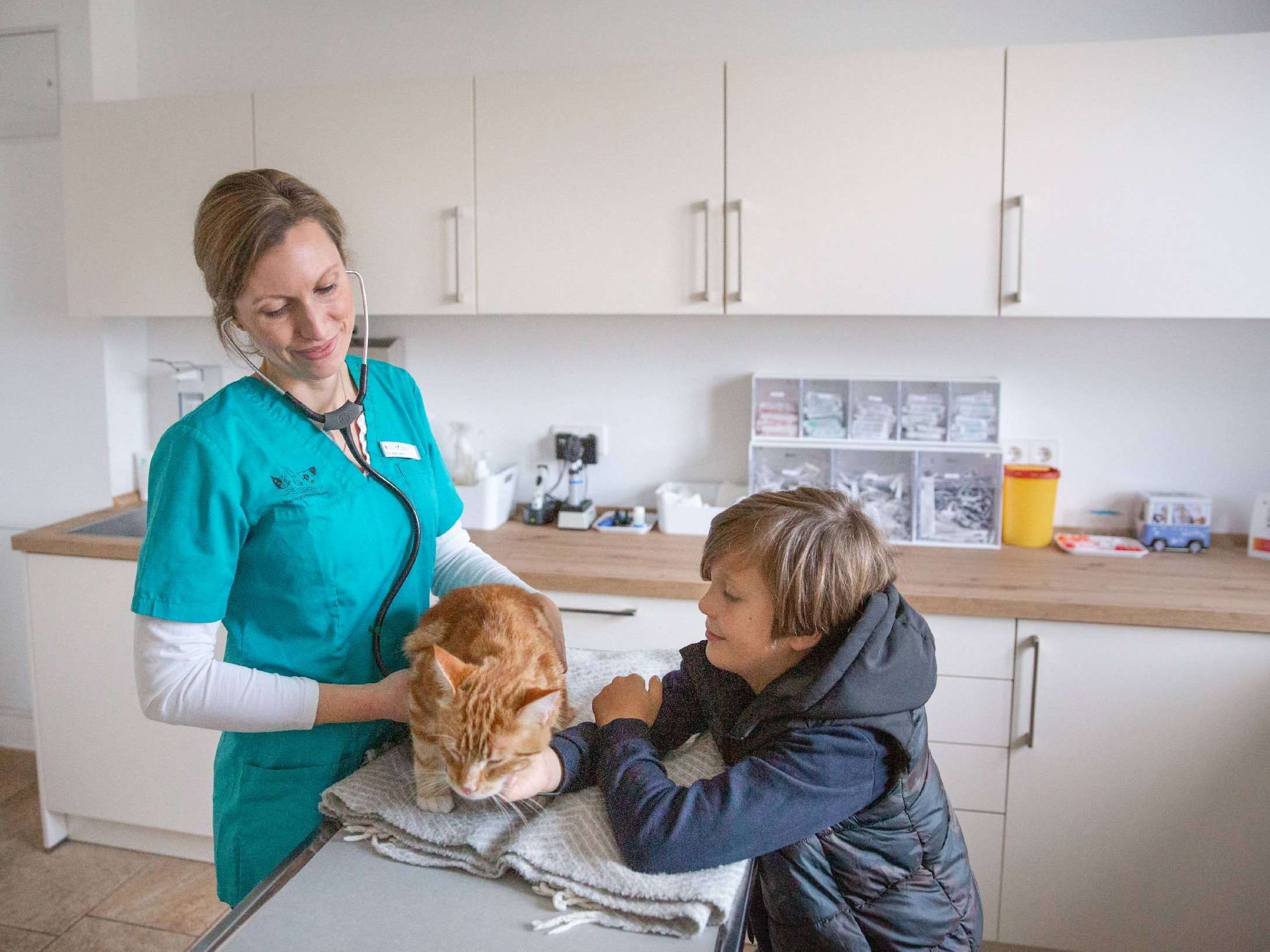 Ansicht 3 von Tierarztpraxis Herbede in Witten - Zentrum für Tiergesundheit