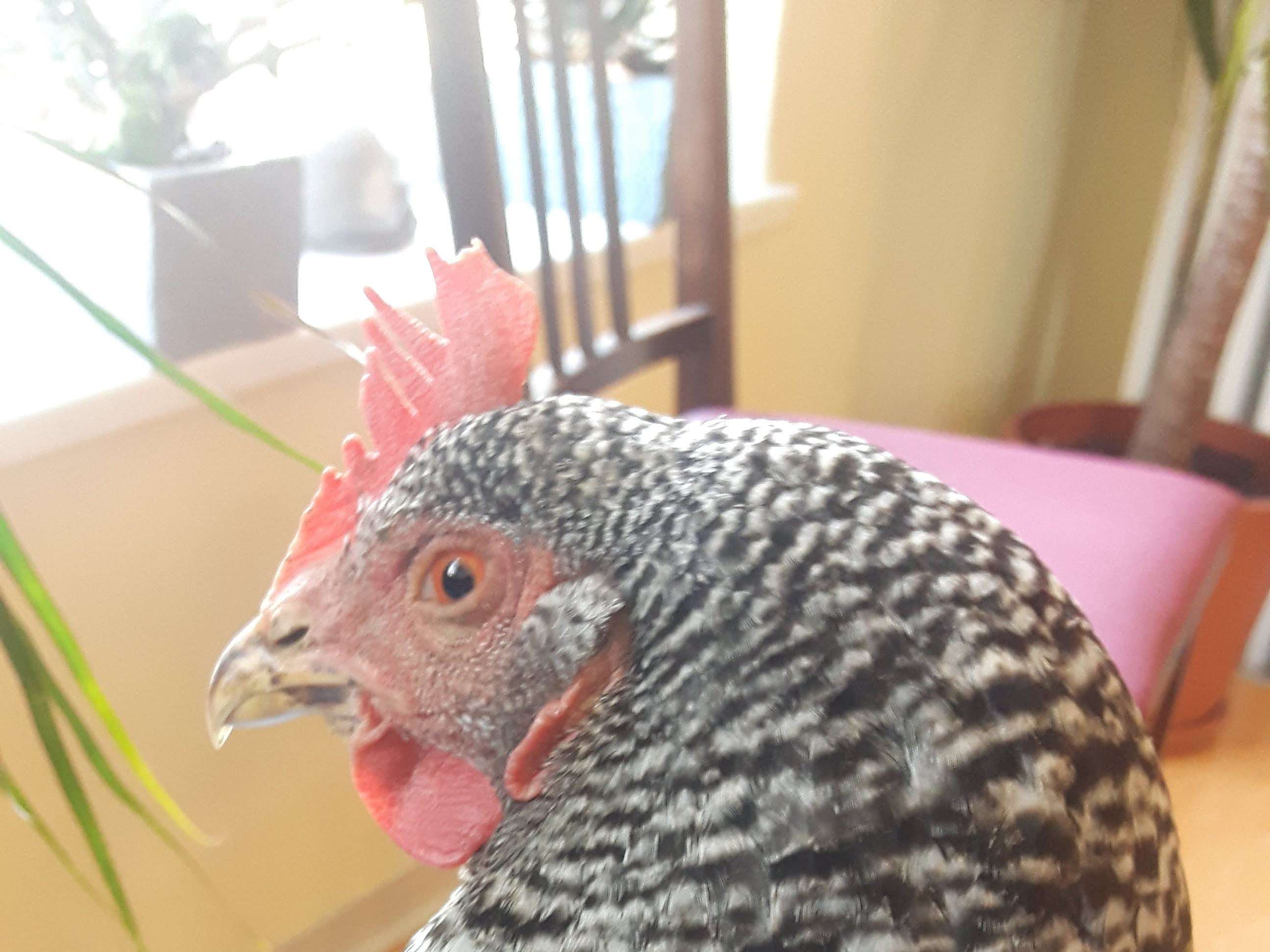 Ansicht 3 von Tierarztpraxis Hiltrud Richter