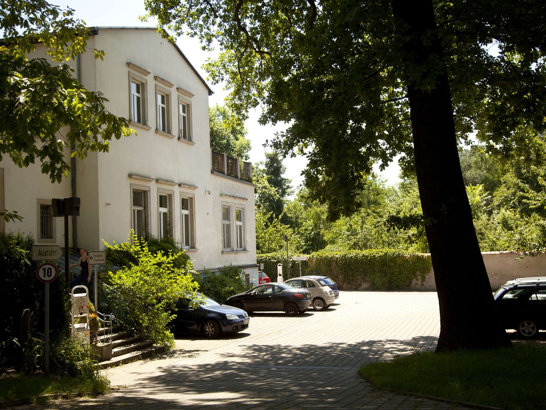 Ansicht 1 von Avetia Dresden