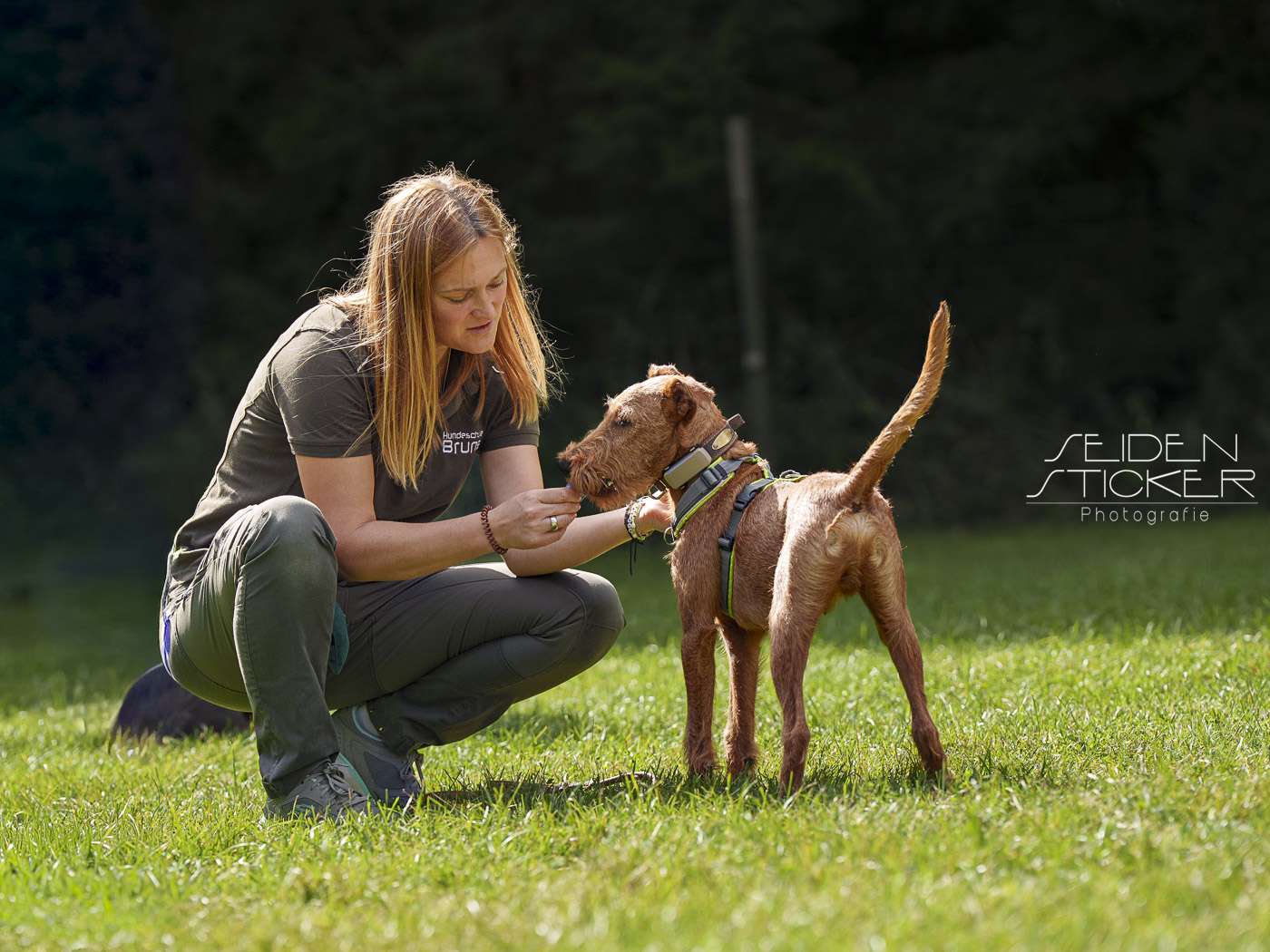 Ansicht 1 von Hundeschule & Praxis für Verhaltensmedizin Dr. Sandra Bruns