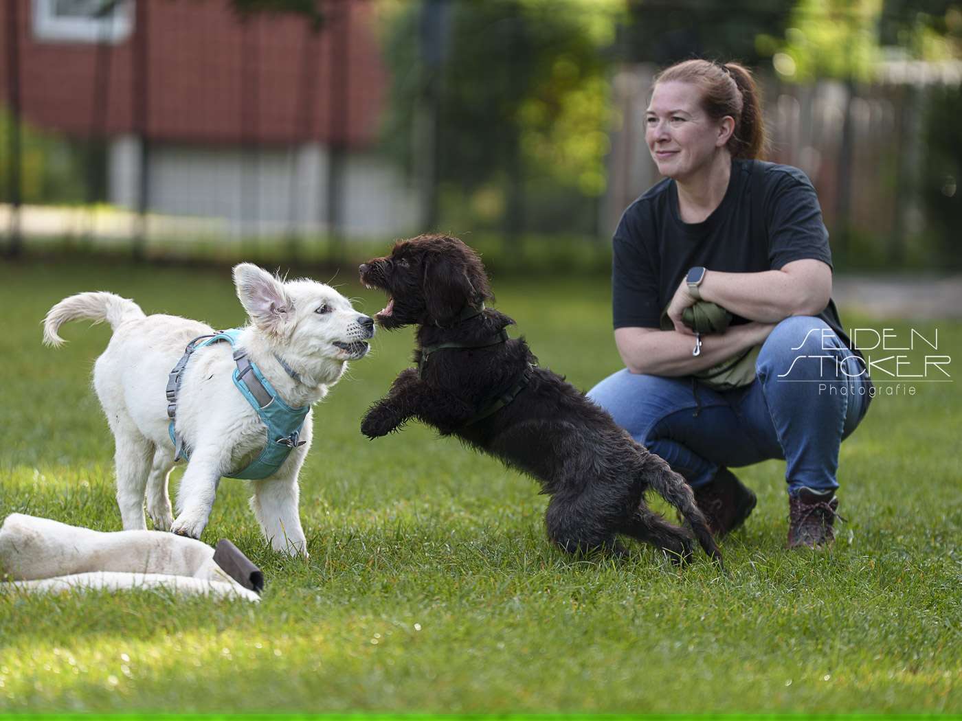 Ansicht 3 von Hundeschule & Praxis für Verhaltensmedizin Dr. Sandra Bruns
