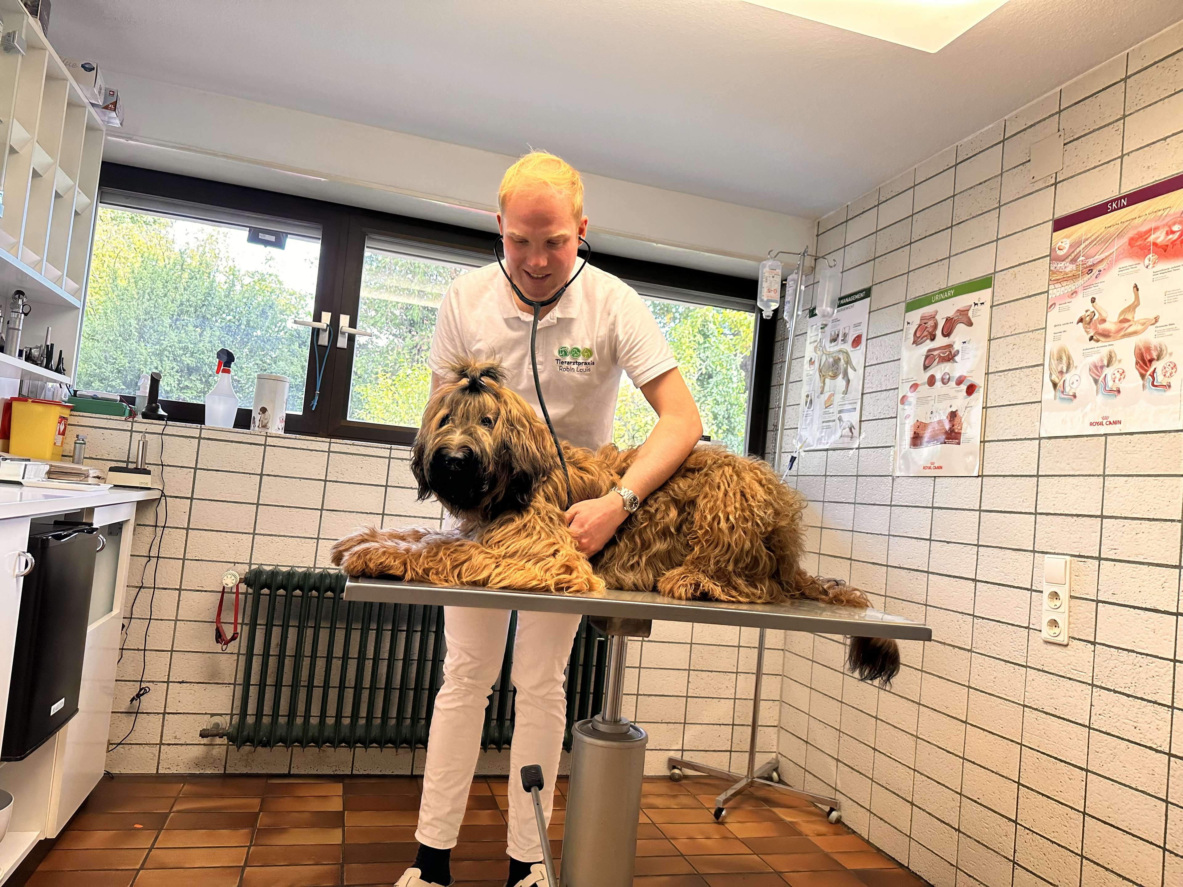 Ansicht 2 von Tierarztpraxis Robin Louis