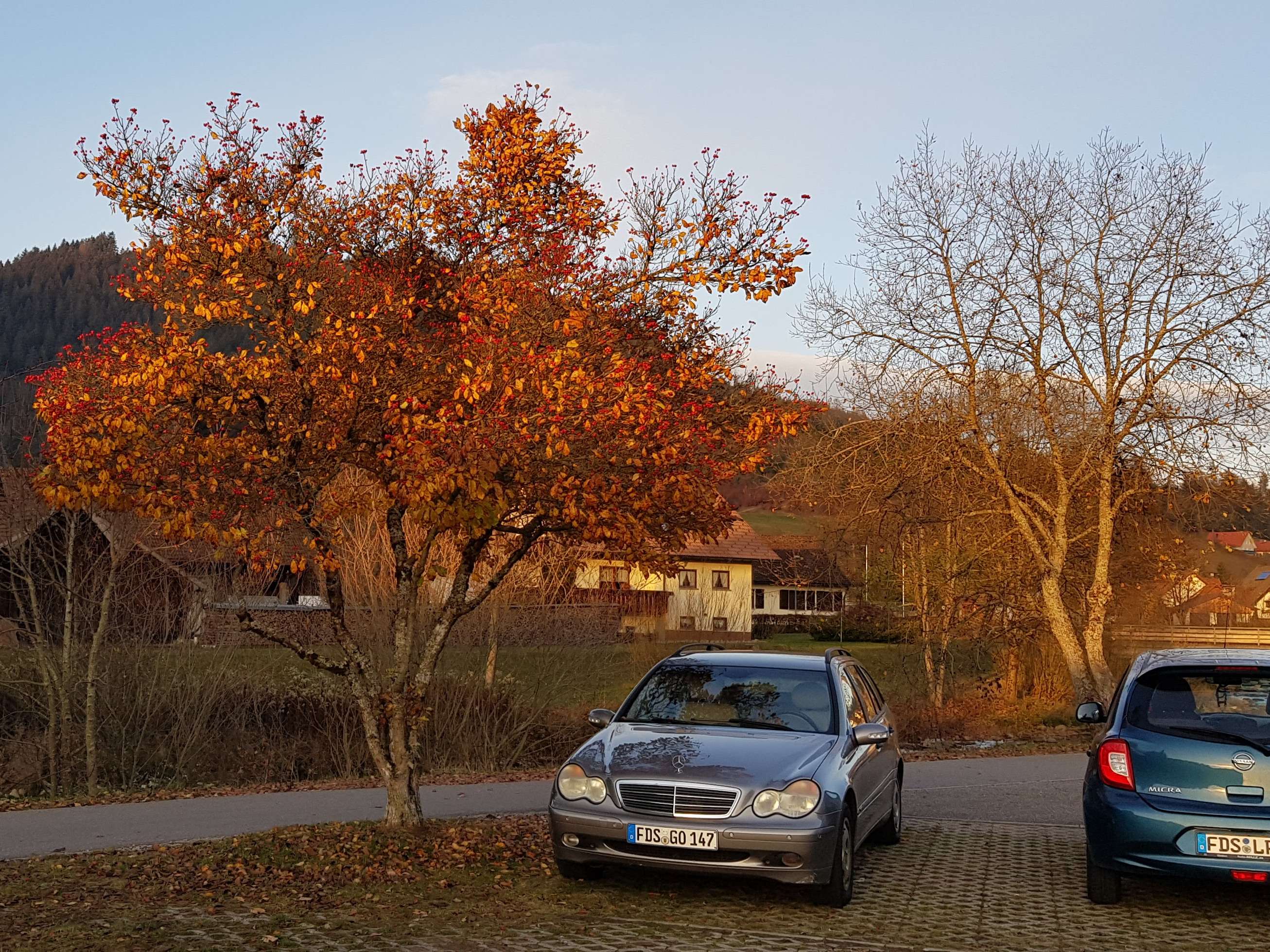 Ansicht 5 von Kleintierzentrum Mitteltal