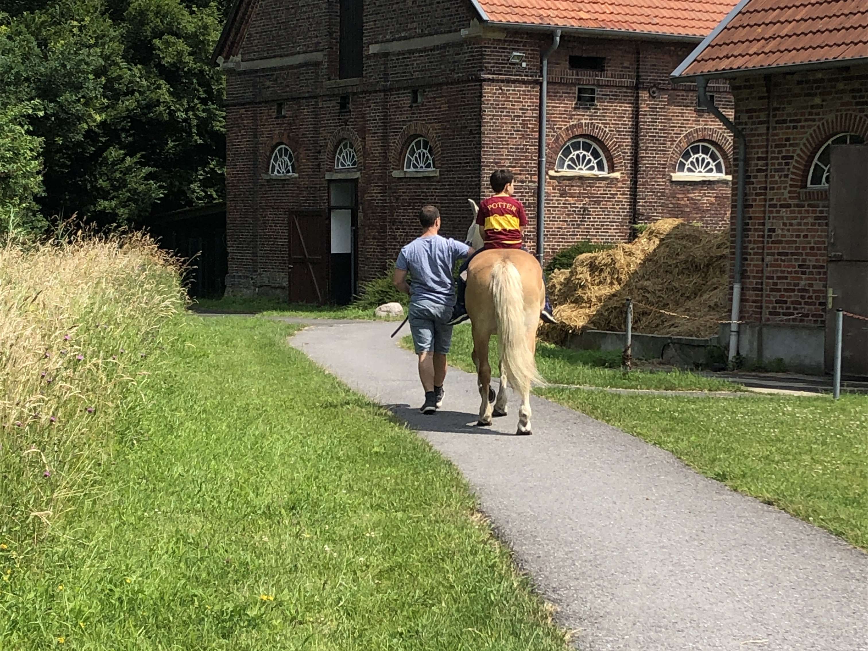Ansicht 2 von Tierärztliches Kompetenzzentrum Karthaus GmbH