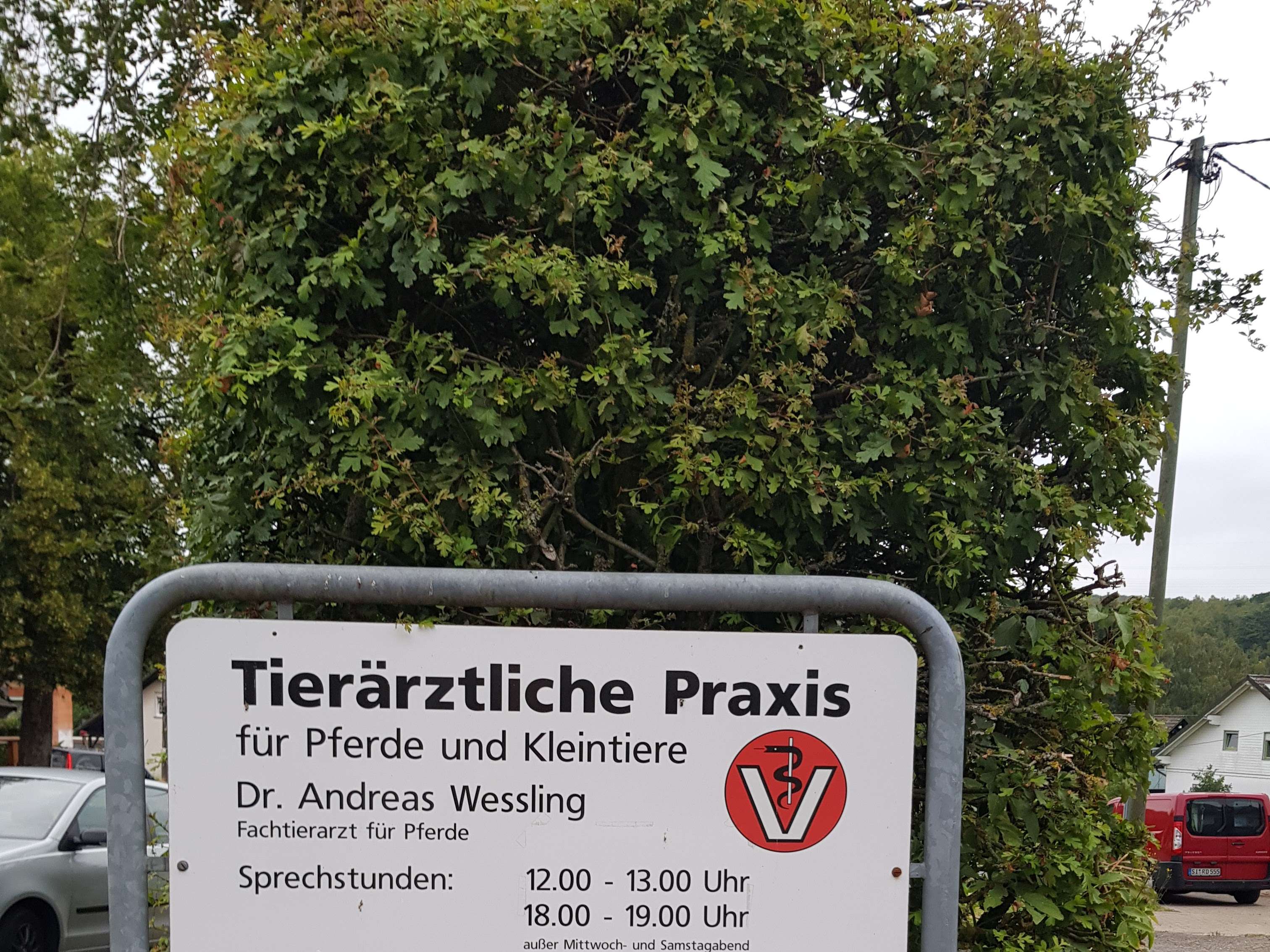 Ansicht 2 von Dr. Andreas Wessling