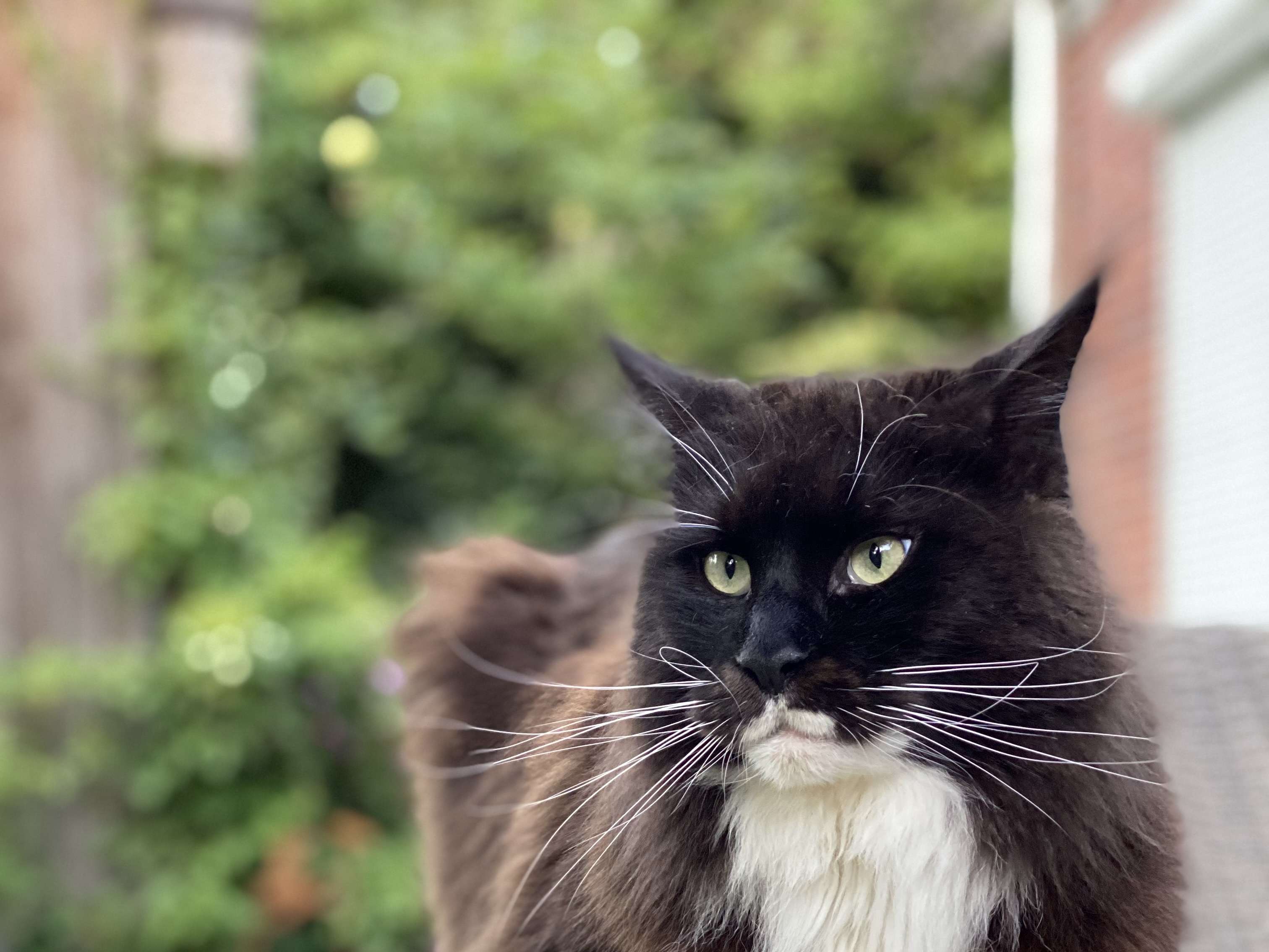 Ansicht 1 von Katja Harders-Harms Tierärztin