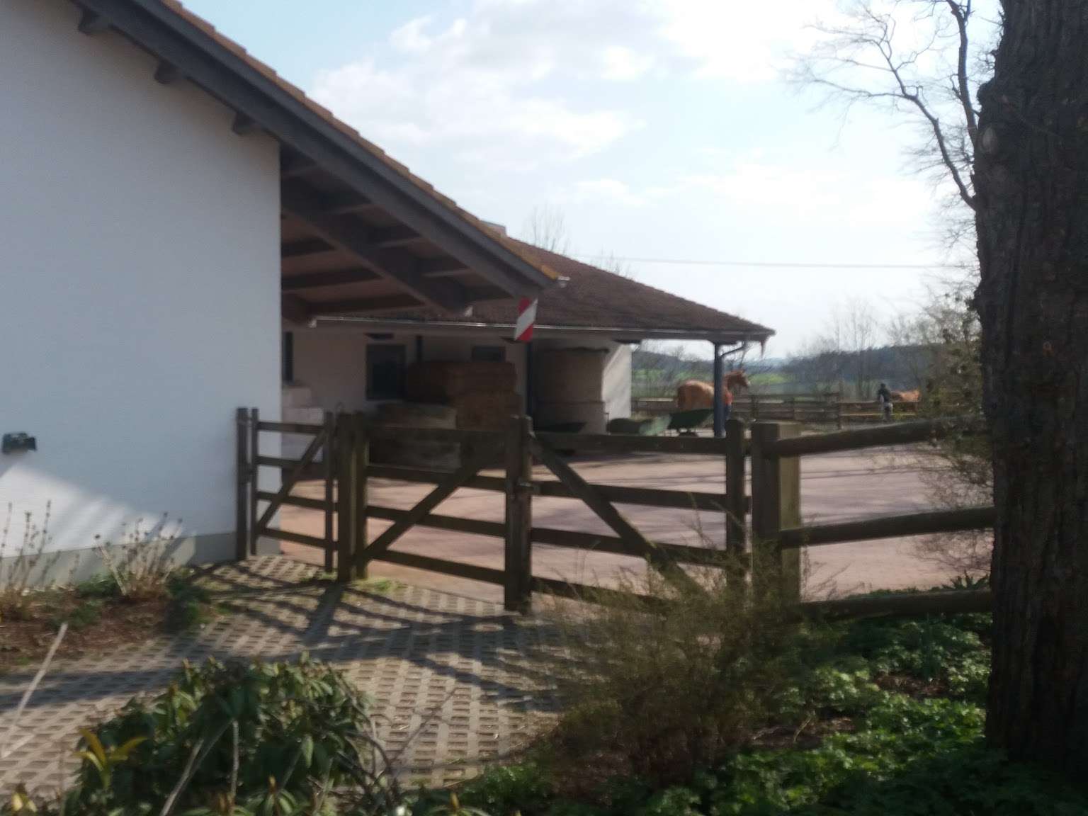 Ansicht 4 von Pferdeklinik Bieberstein