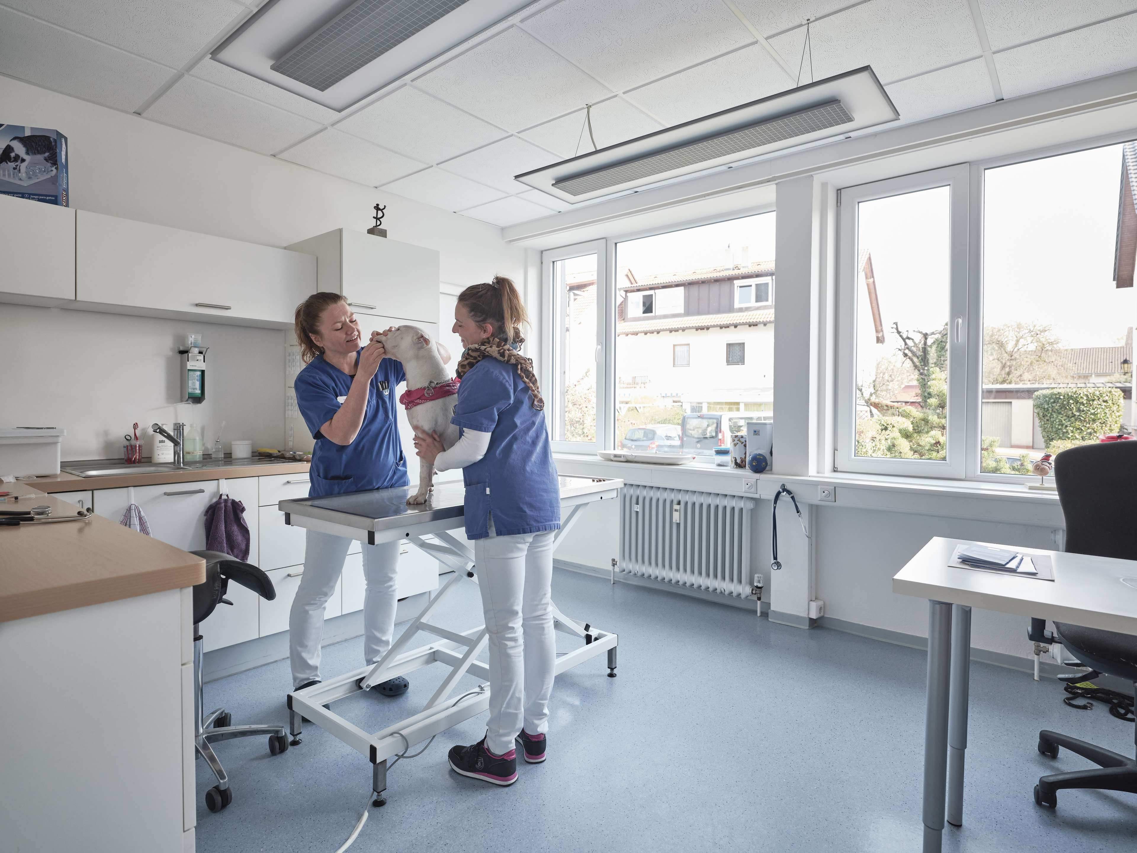 Ansicht 1 von Kleintierpraxis Müllheim
