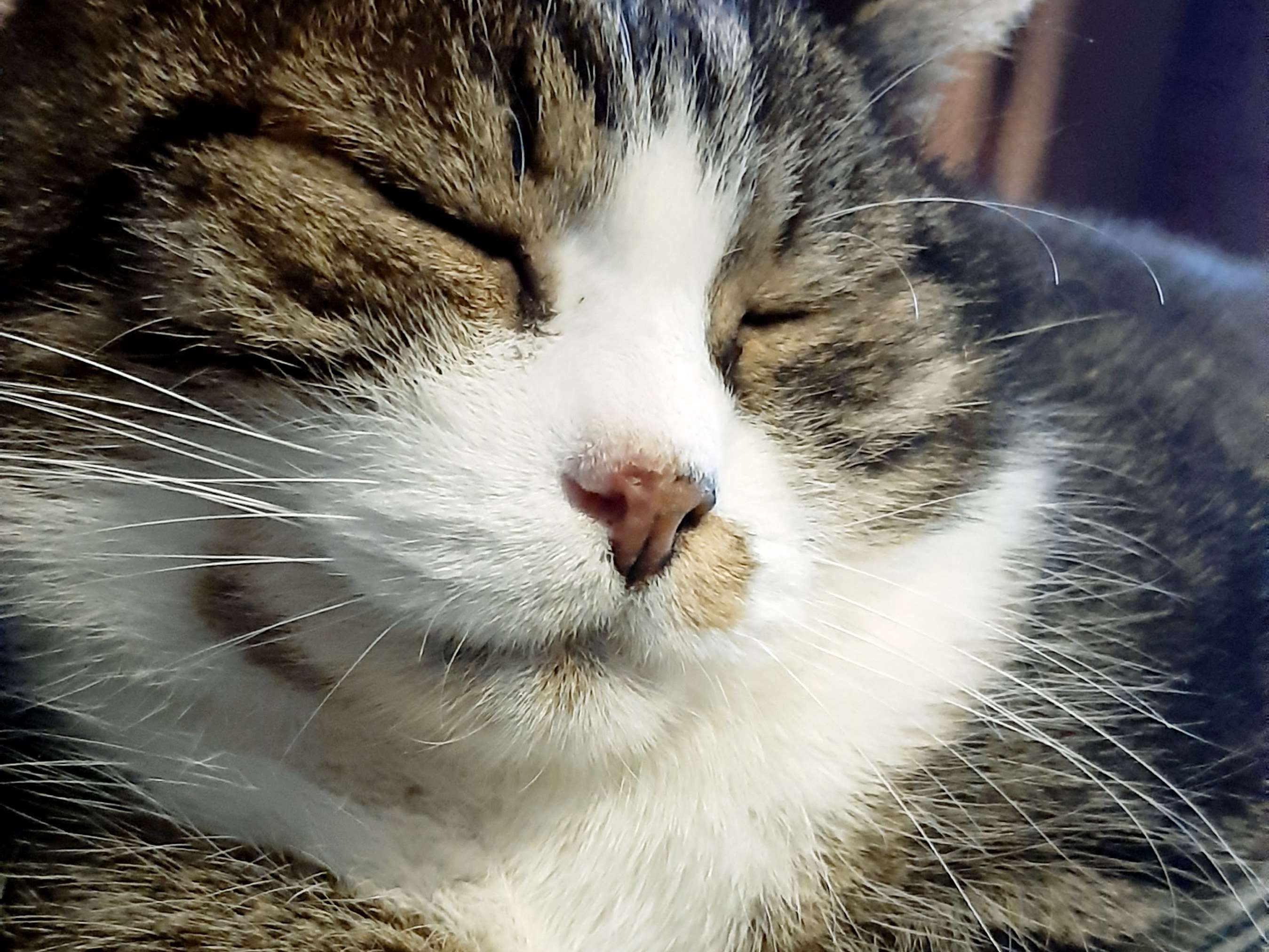 Ansicht 4 von Tierärztliches Zentrum für Pferde in Kirchheim Altano GmbH, Niederlassung Empfingen