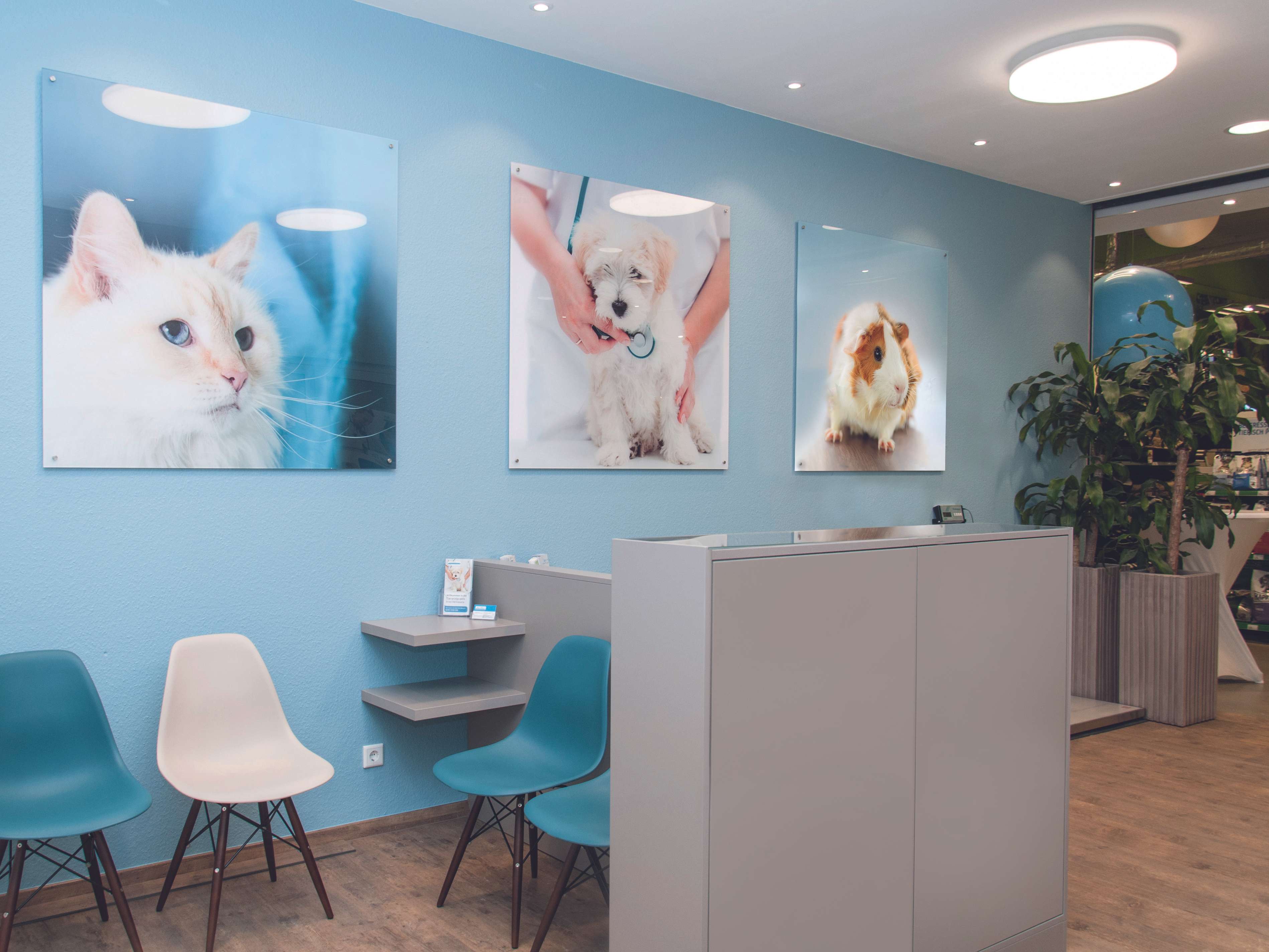 Ansicht 1 von Tierarzt Krefeld, Tierarztpraxis Activet Krefeld