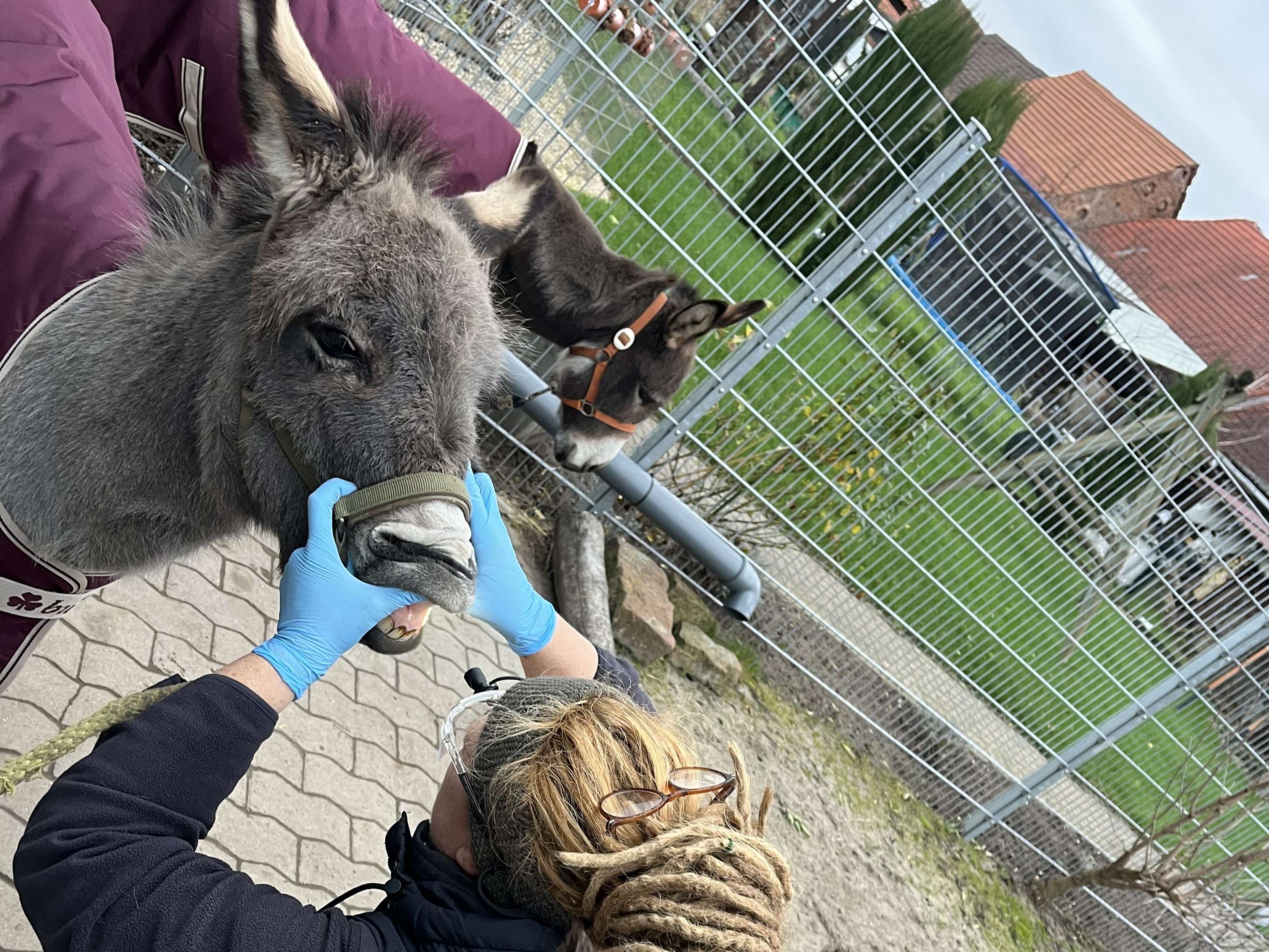 Ansicht 1 von Kerstin Rückwardt
