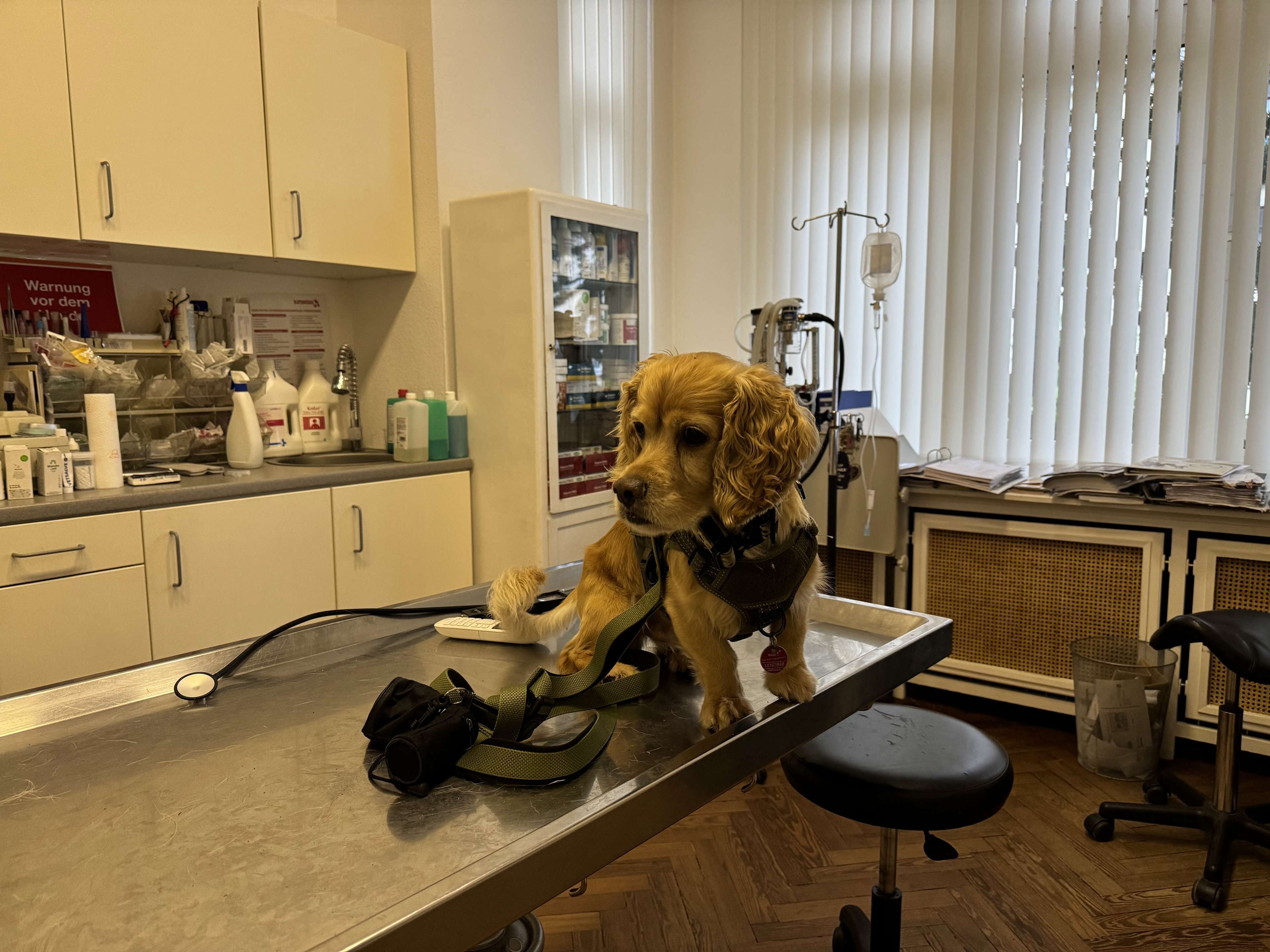 Ansicht 2 von Dr.med.vet. Charlotte Virchow Tierärztin