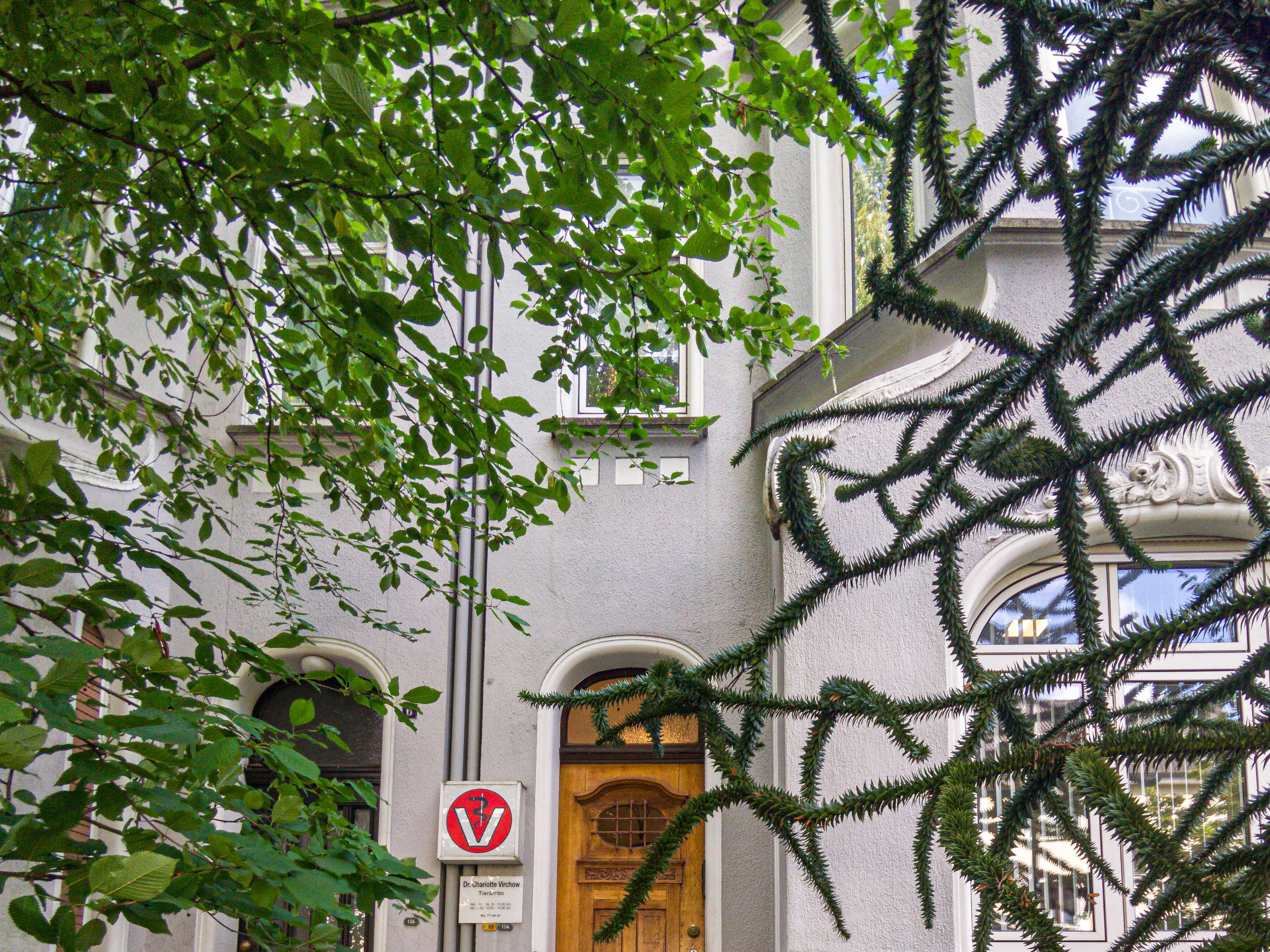 Ansicht 4 von Dr.med.vet. Charlotte Virchow Tierärztin