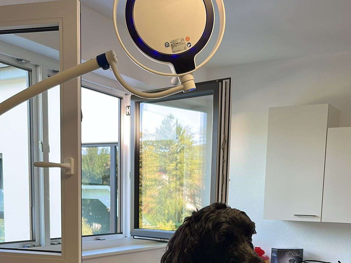 Ansicht 4 von Tierarztpraxis Wasserkuppe Fr. Dr. med. vet. T. Weber