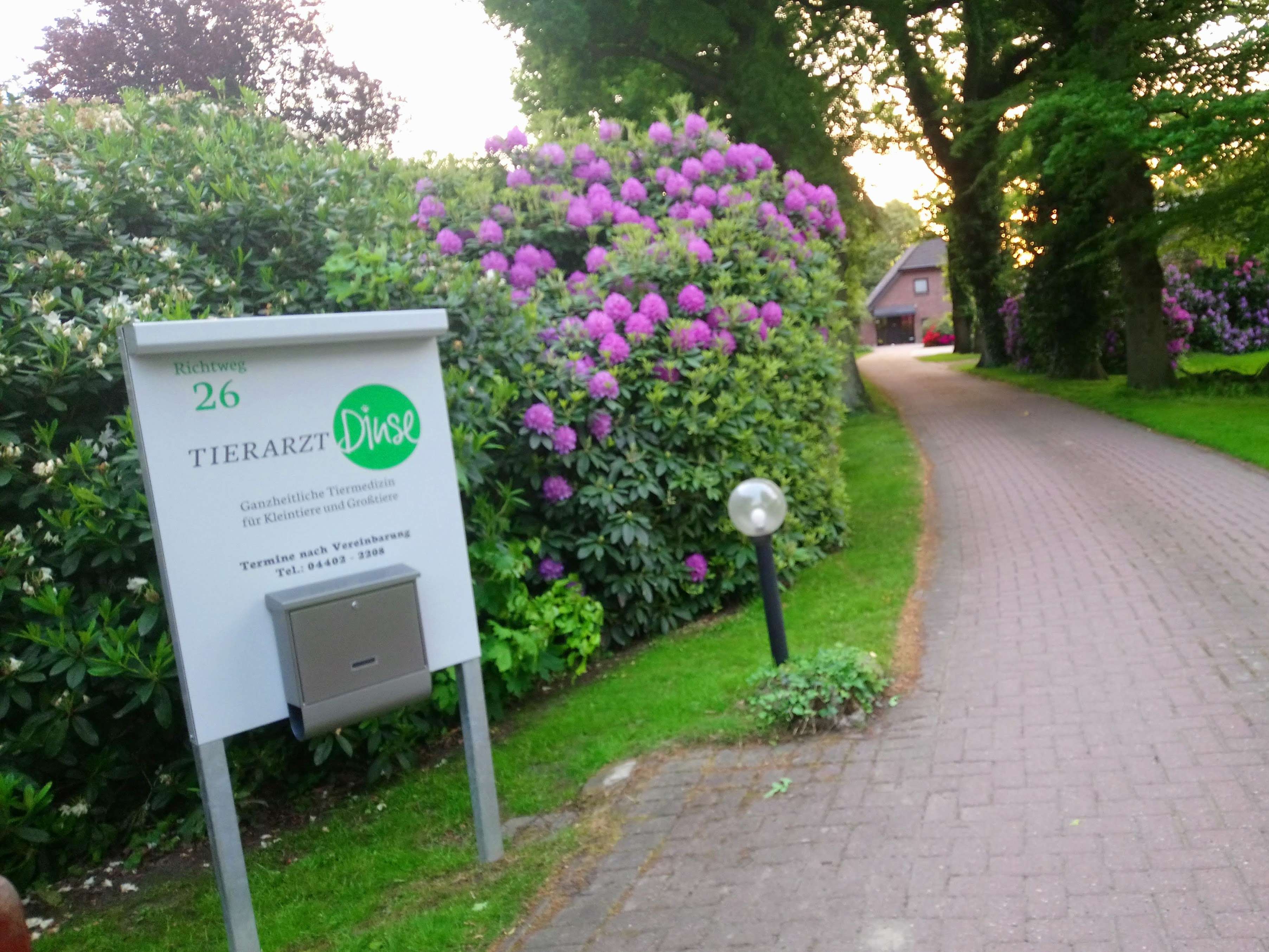 Ansicht 3 von Christof Dinse Tierarzt