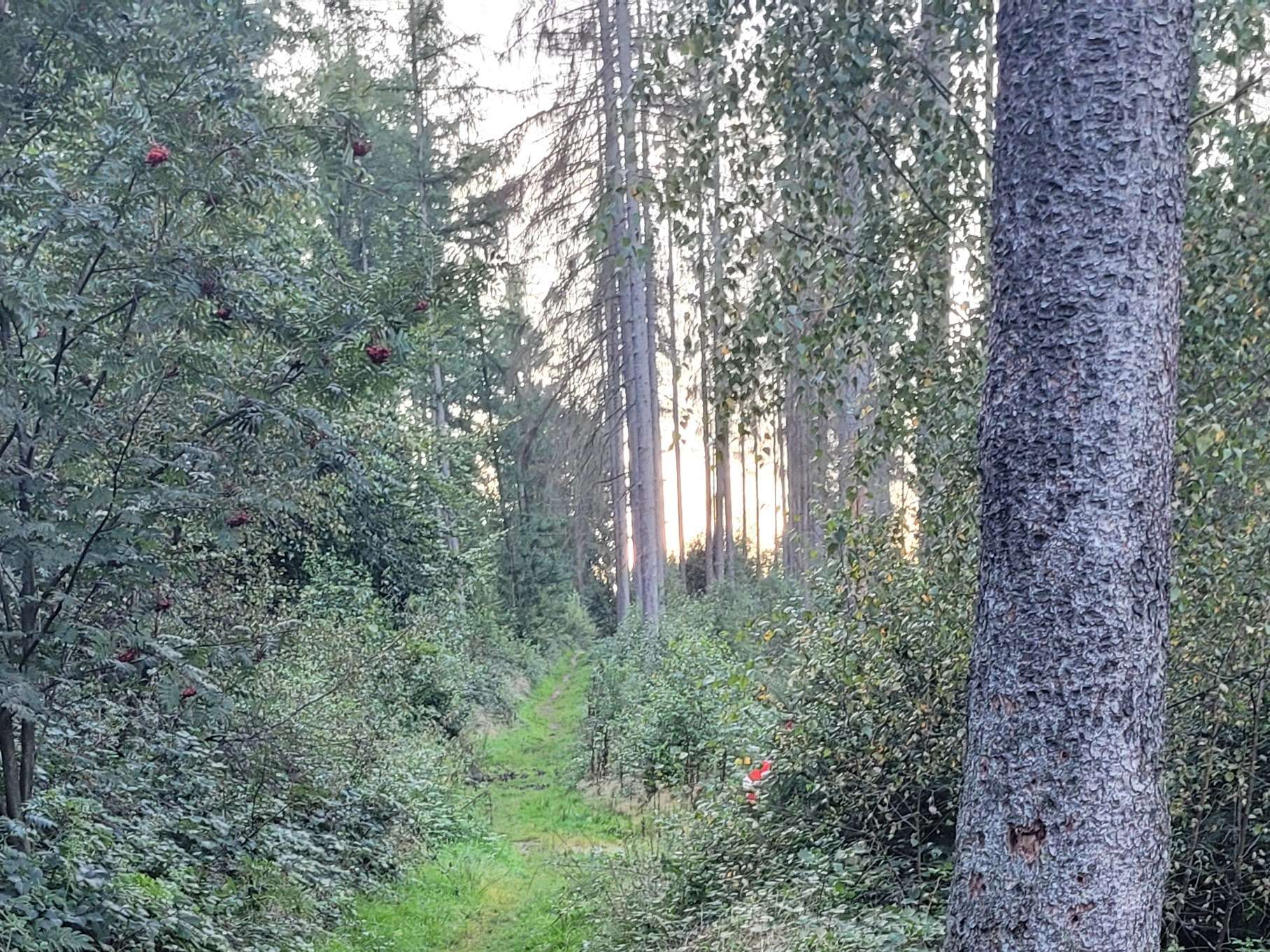 Ansicht 1 von Tierarztparxis Elvire Hudler Oerlinghausen