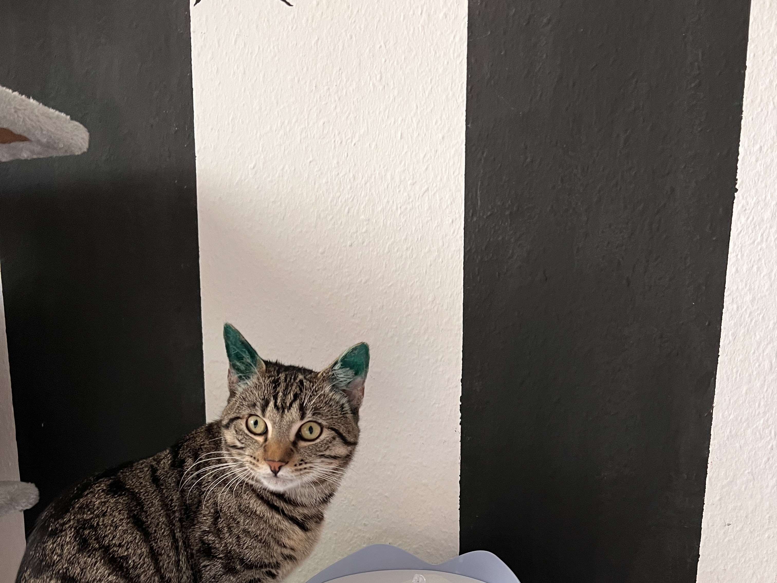 Ansicht 1 von Ursula Hedrich