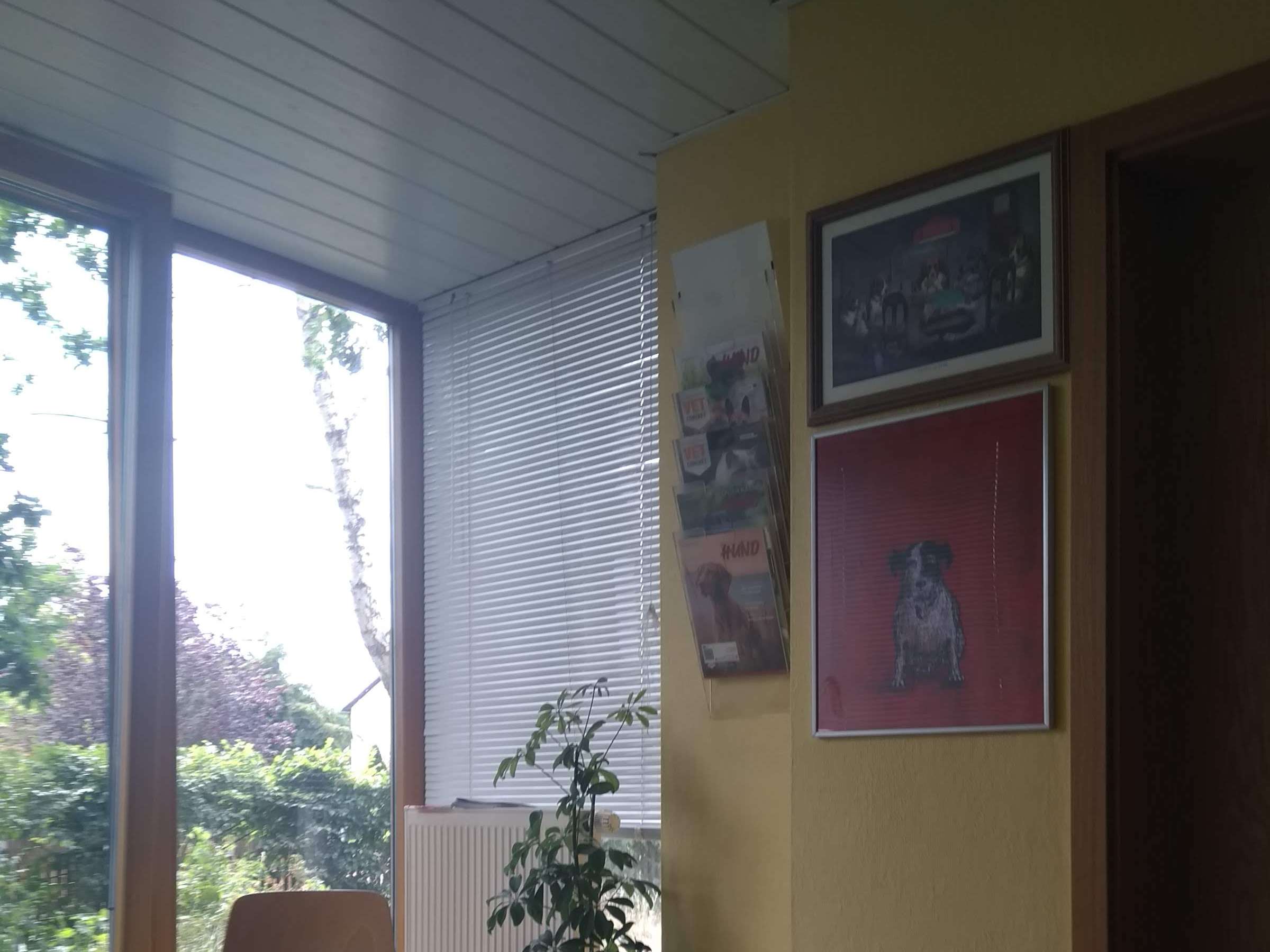 Ansicht 2 von Brigitte Roscher-Ferstl Tierärztin
