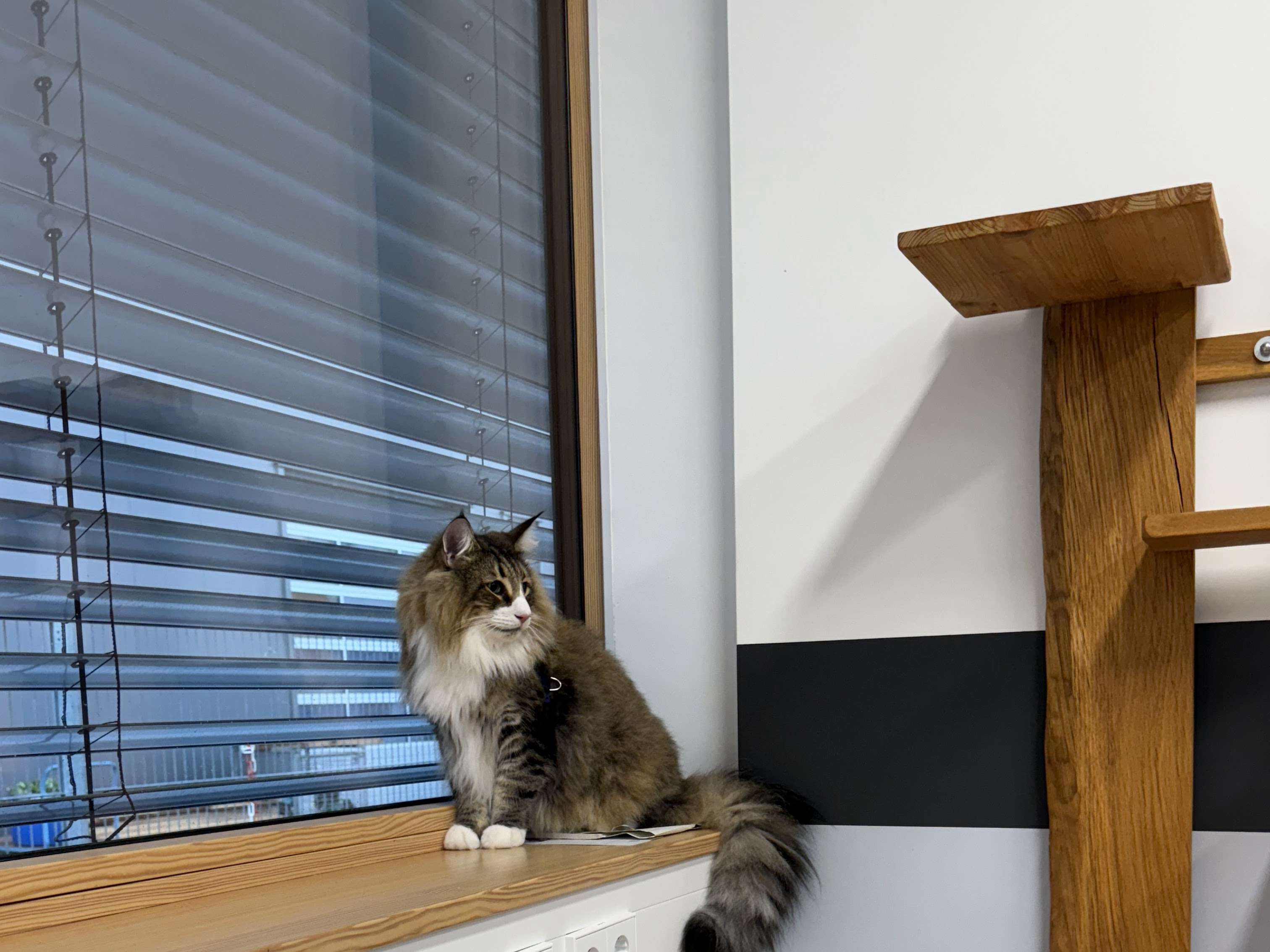 Ansicht 3 von AniCura Tierklinik Stuttgart Plieningen