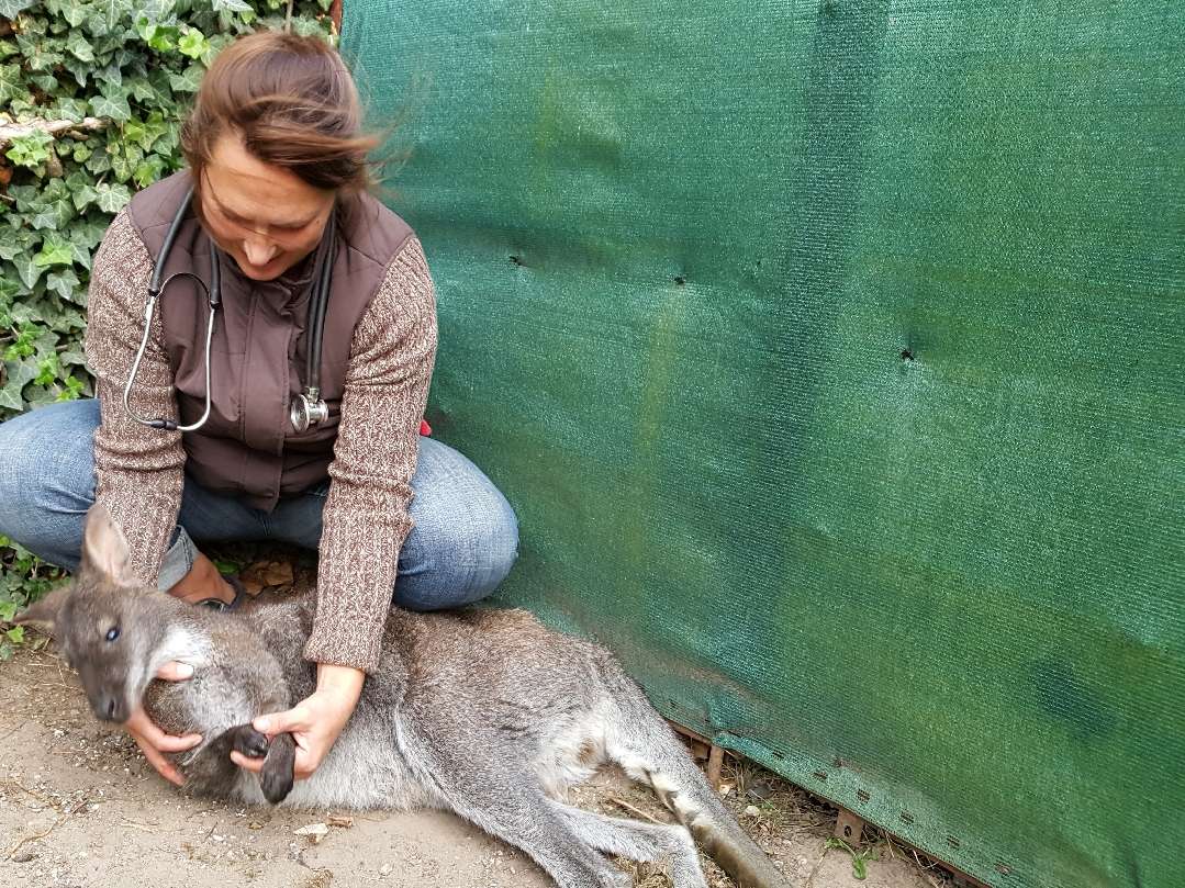 Ansicht 4 von Tierarztpraxis Dr. Diana Czernek-Schäfer