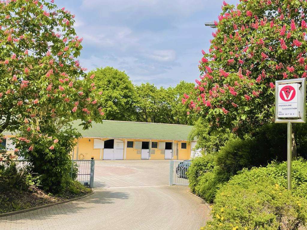 Ansicht 1 von Pferdeklinik Großostheim