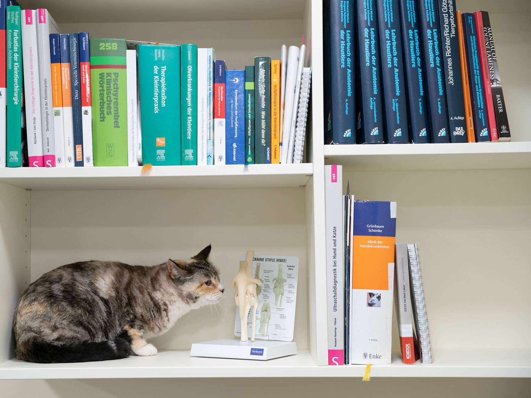 Ansicht 5 von Dr. Andrea Sanders