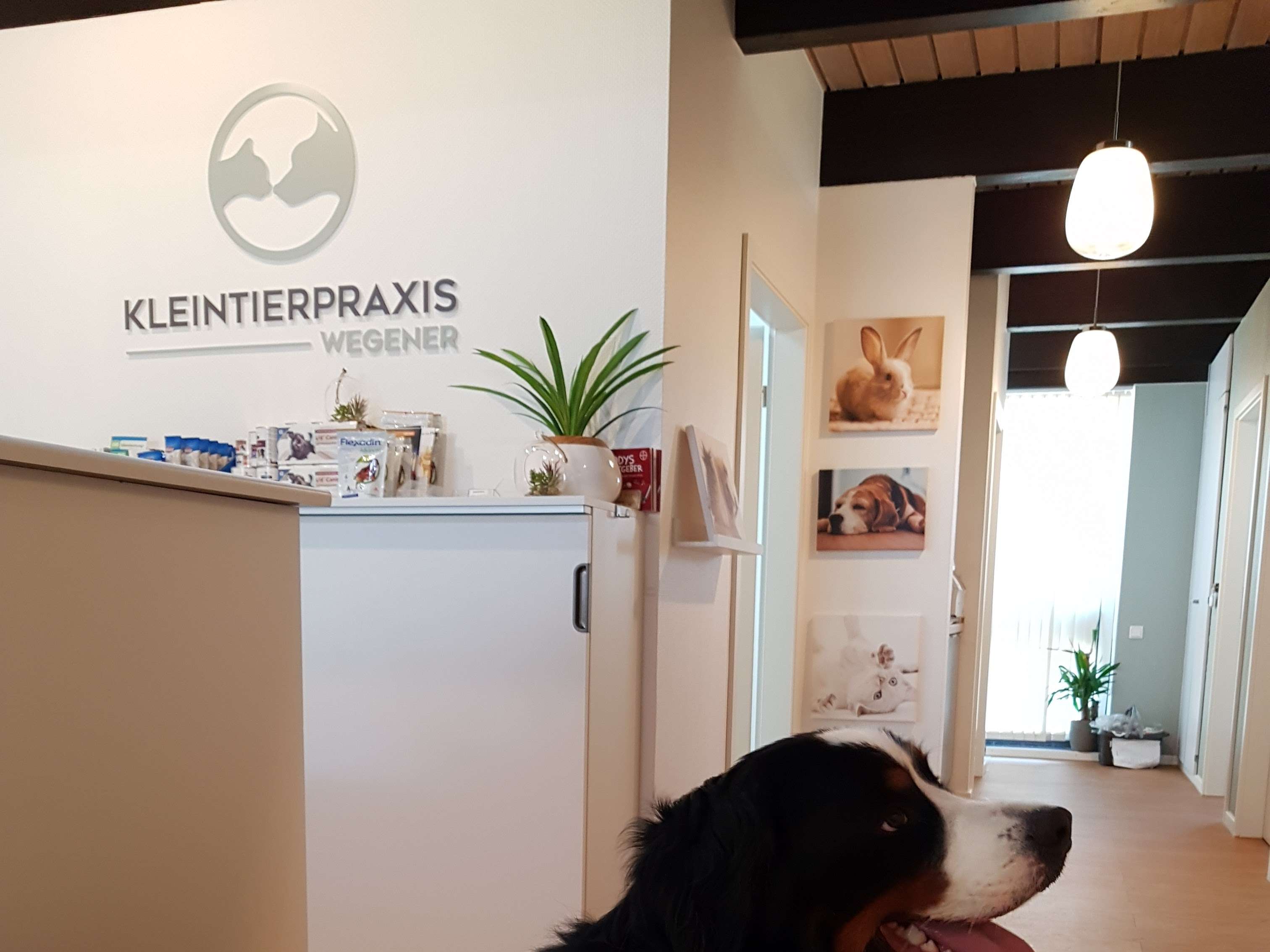 Ansicht 5 von Kleintierpraxis Wegener