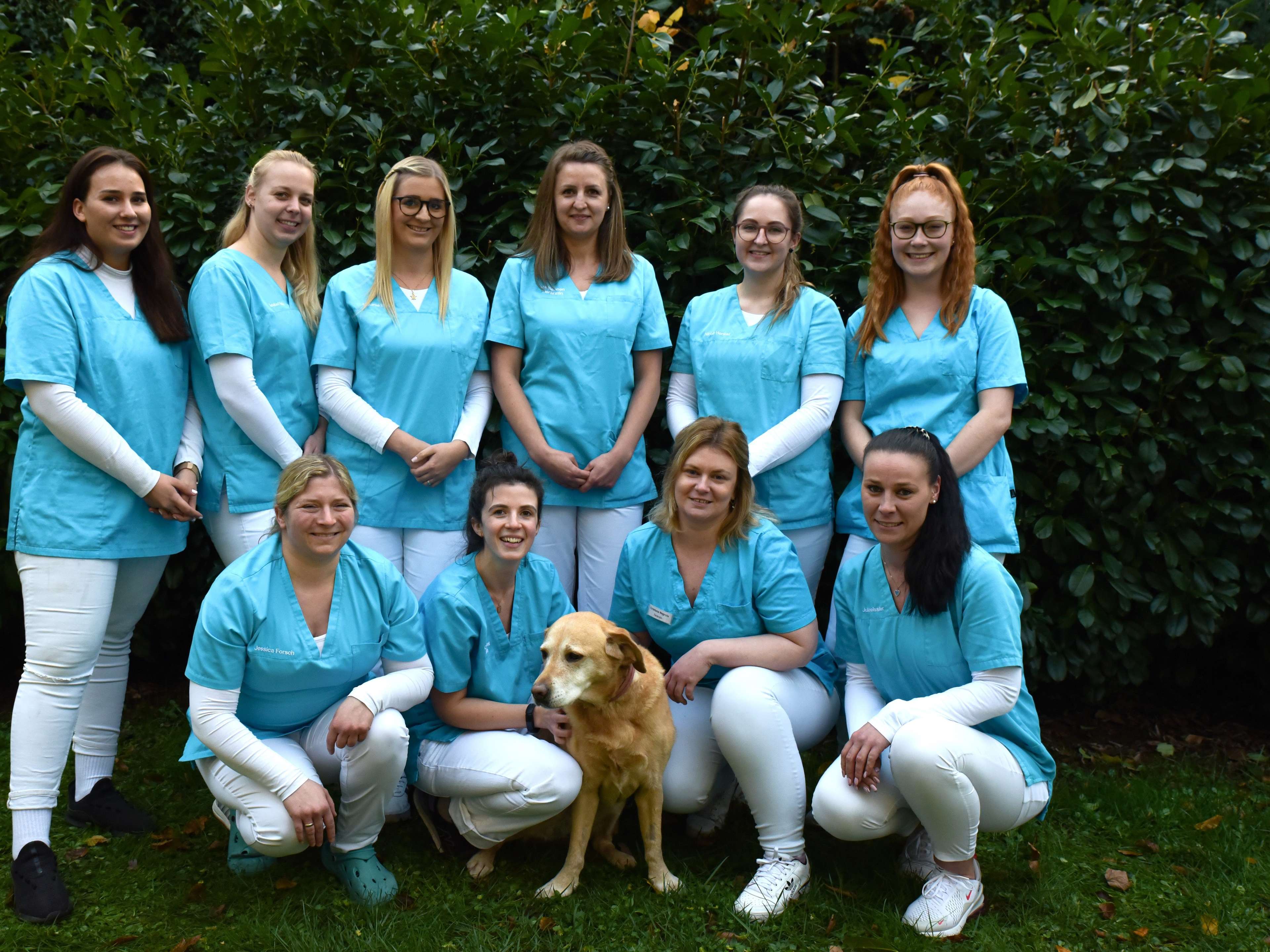 Ansicht 1 von Kleintierpraxis Kaiserslautern Tierärzte IVC Evidensia GmbH