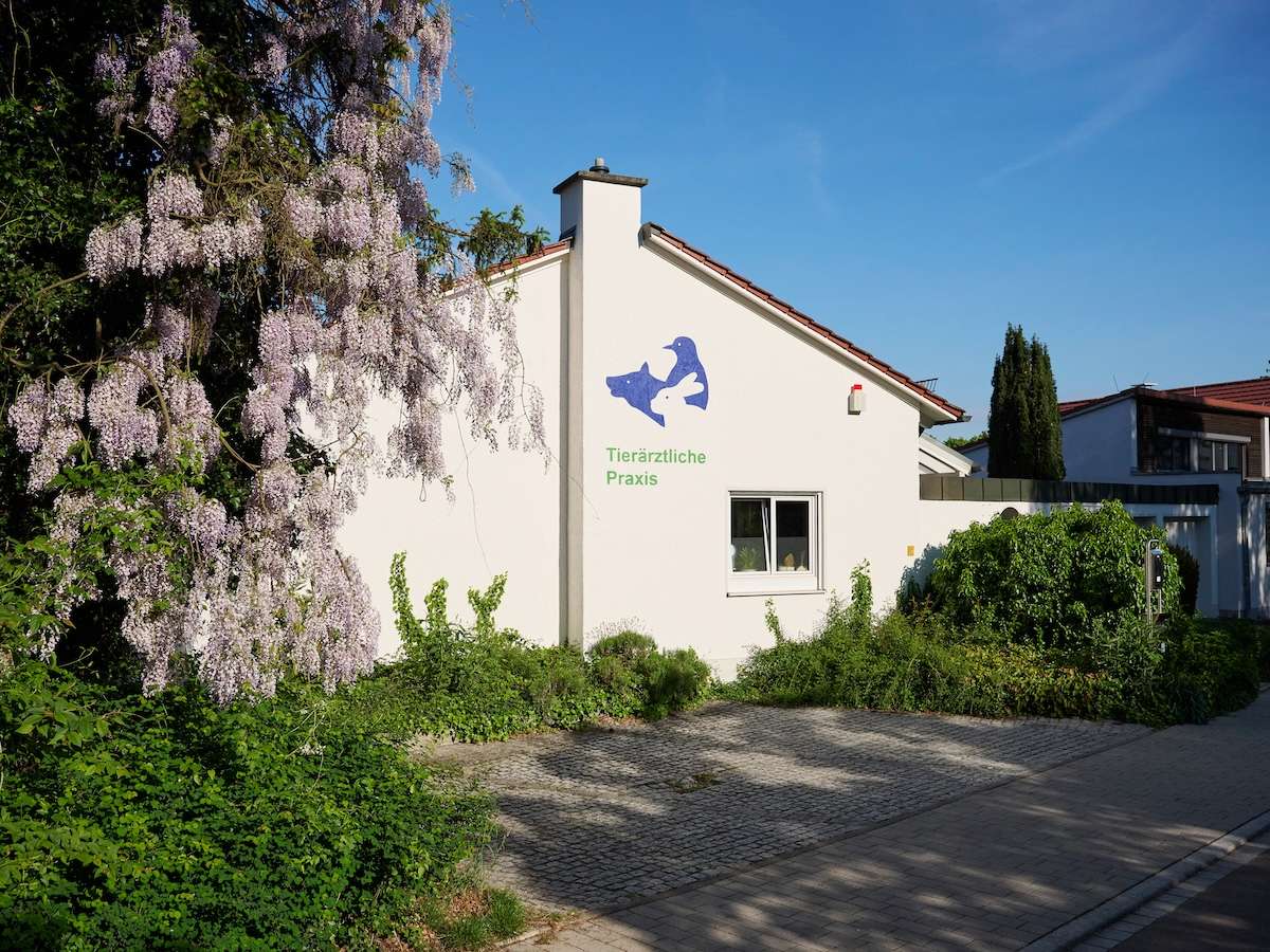 Ansicht 5 von Tierarztpraxis am Schellenberg