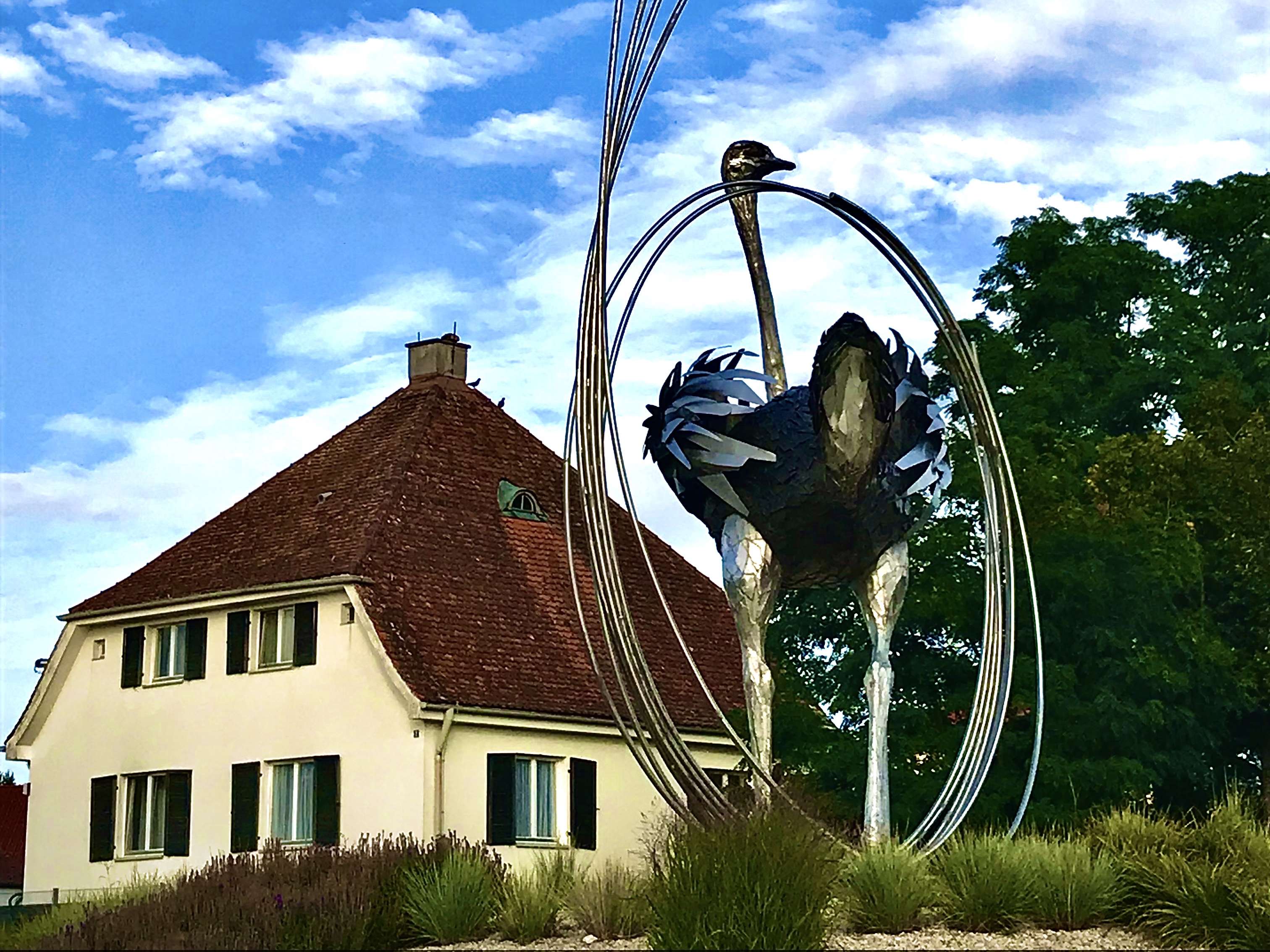 Ansicht 3 von Tierarztpraxis Dr. Grebenau-Klehr