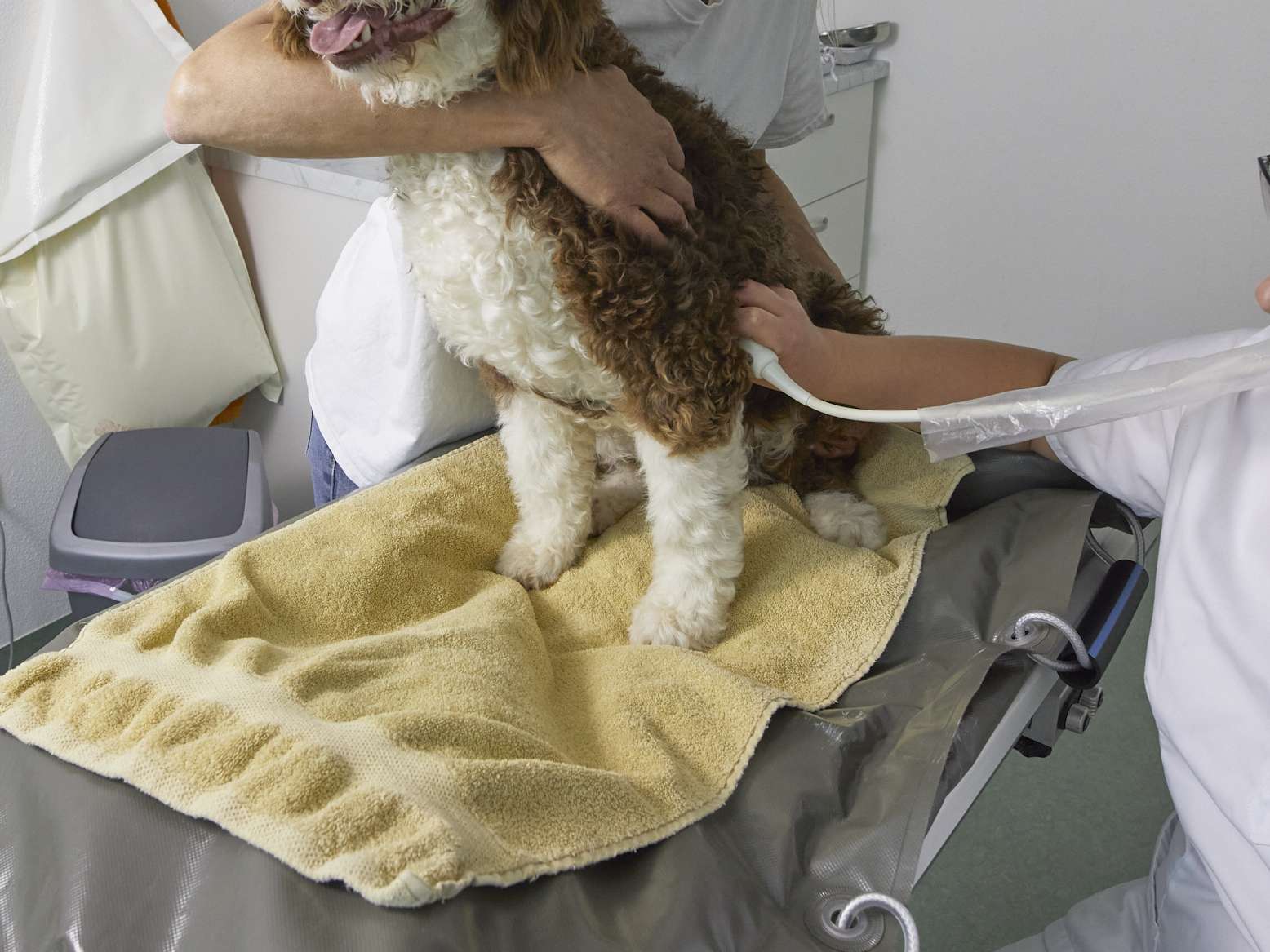 Ansicht 2 von Tierarzt Dr. Gerhard Heim