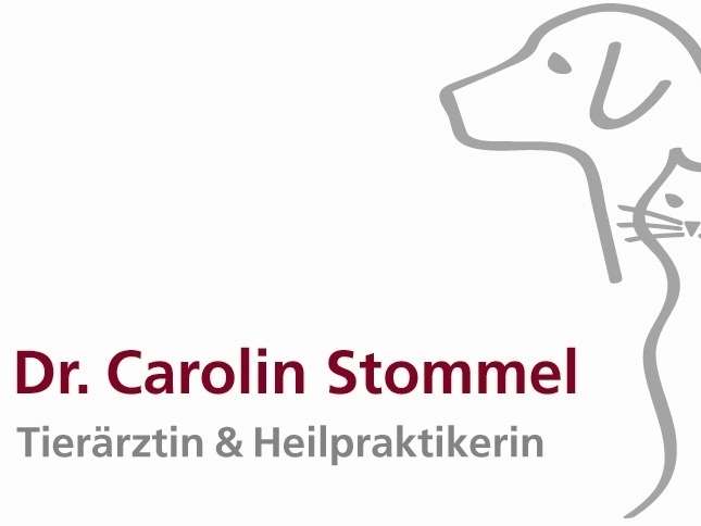 Ansicht 5 von Dr. Carolin Stommel - Tierarztpraxis Gauting