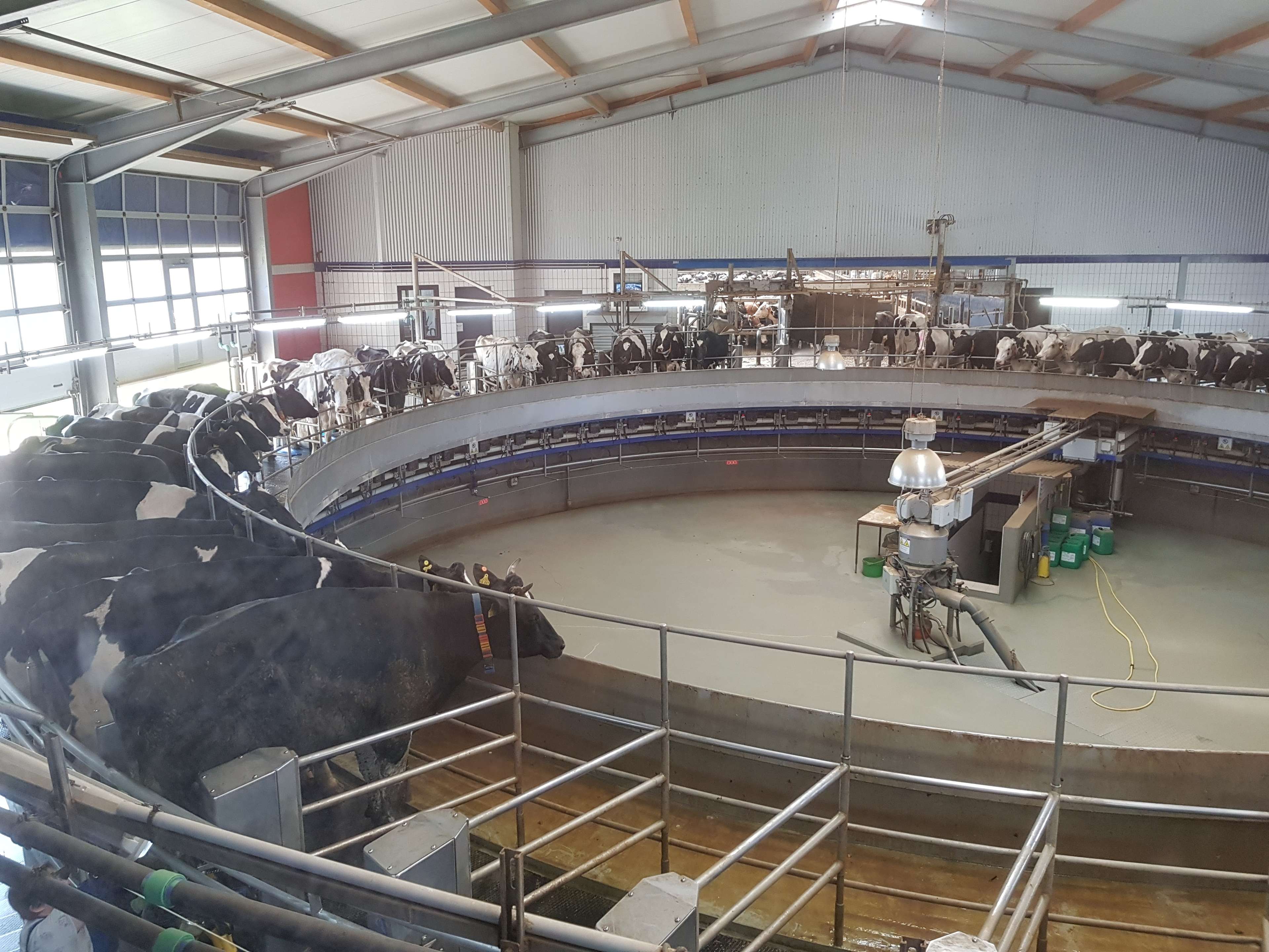Ansicht 3 von Milchviehanlage Kremmen Verwaltungs-GmbH