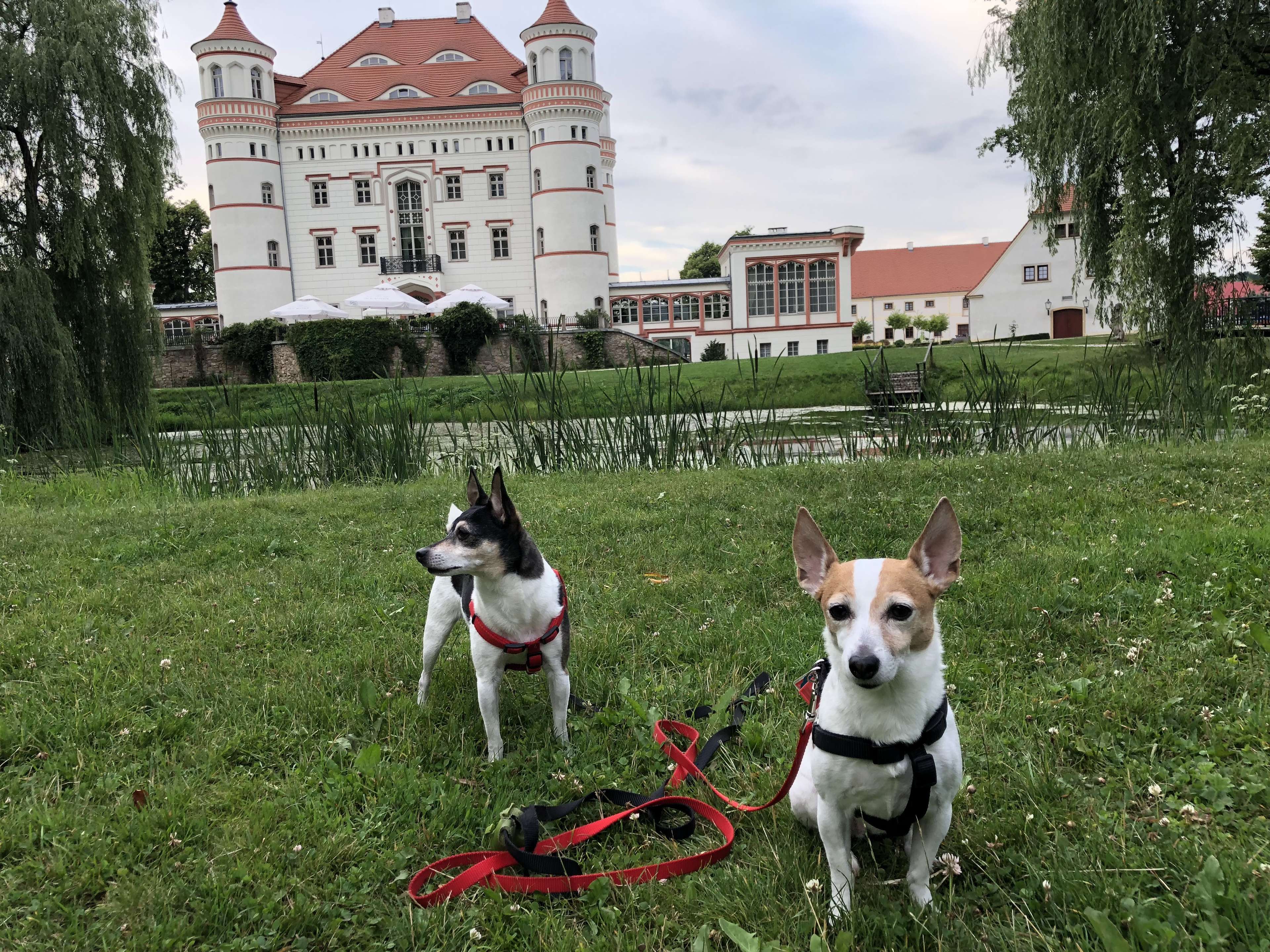 Ansicht 1 von Dr. med. vet. Ines Schmid