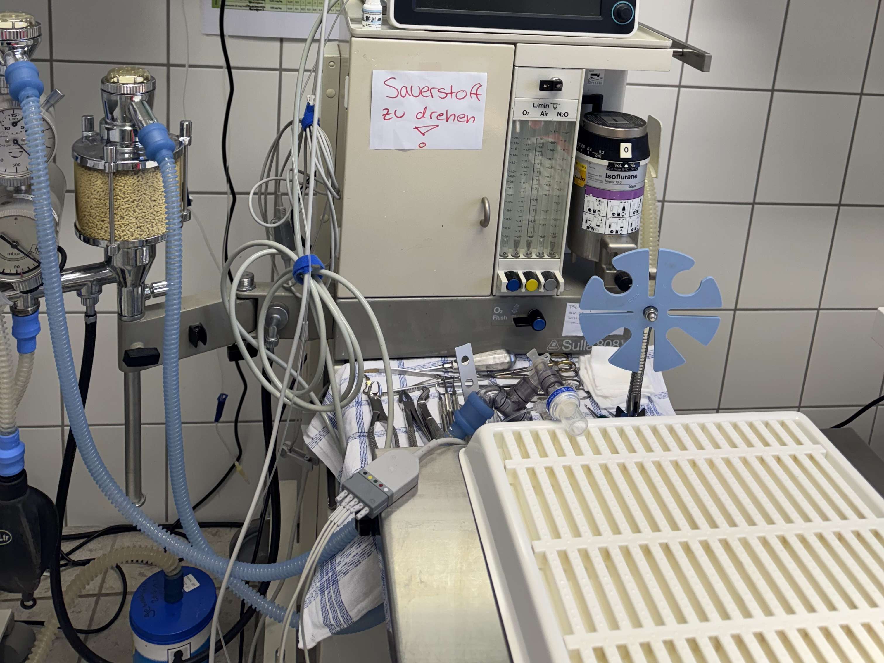 Ansicht 2 von Tierärztliches Gesundheitszentrum | Peckelsheim