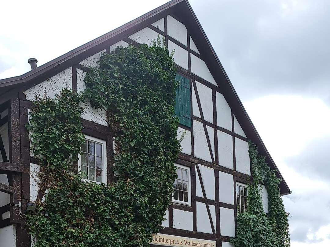 Ansicht 2 von Kleintierpraxis Walbachsmühle