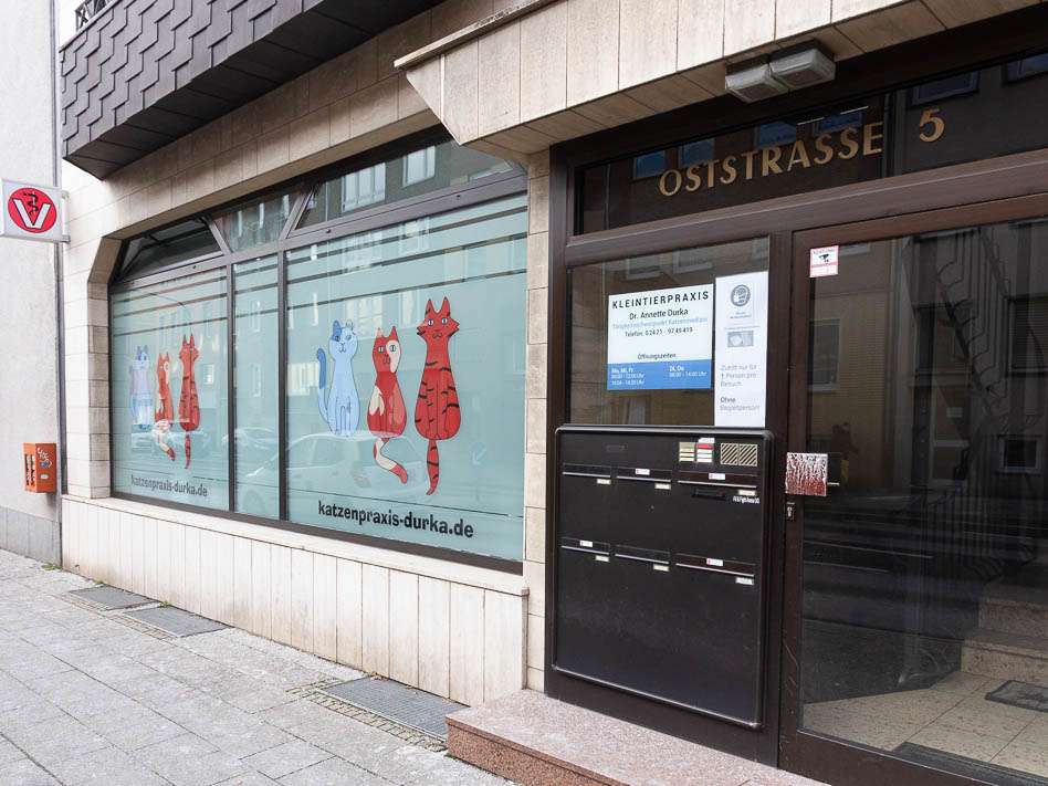 Ansicht 5 von Kleintierpraxis Dr. Durka, Tätigkeitsschwerpunkt Katzenmedizin