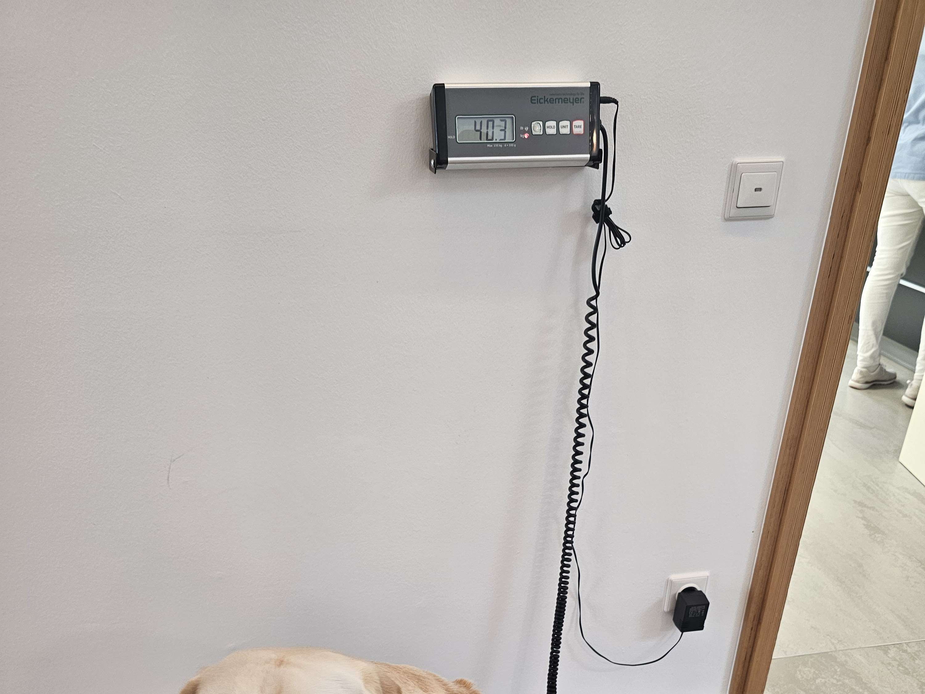 Ansicht 3 von Tierklinik Feuchtwangen - Dr. Bernhard Schweizer