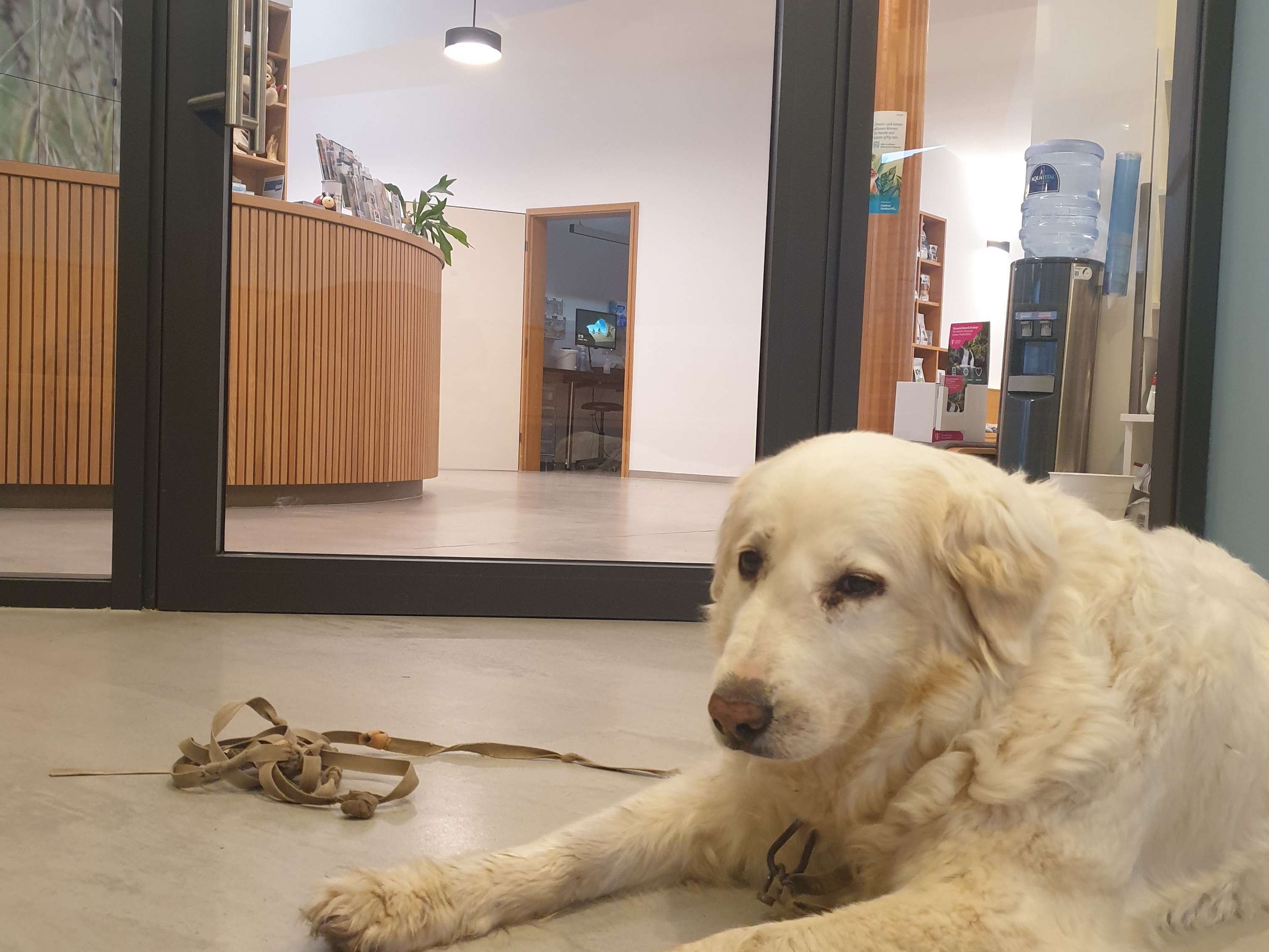 Ansicht 4 von Tierklinik Feuchtwangen - Dr. Bernhard Schweizer