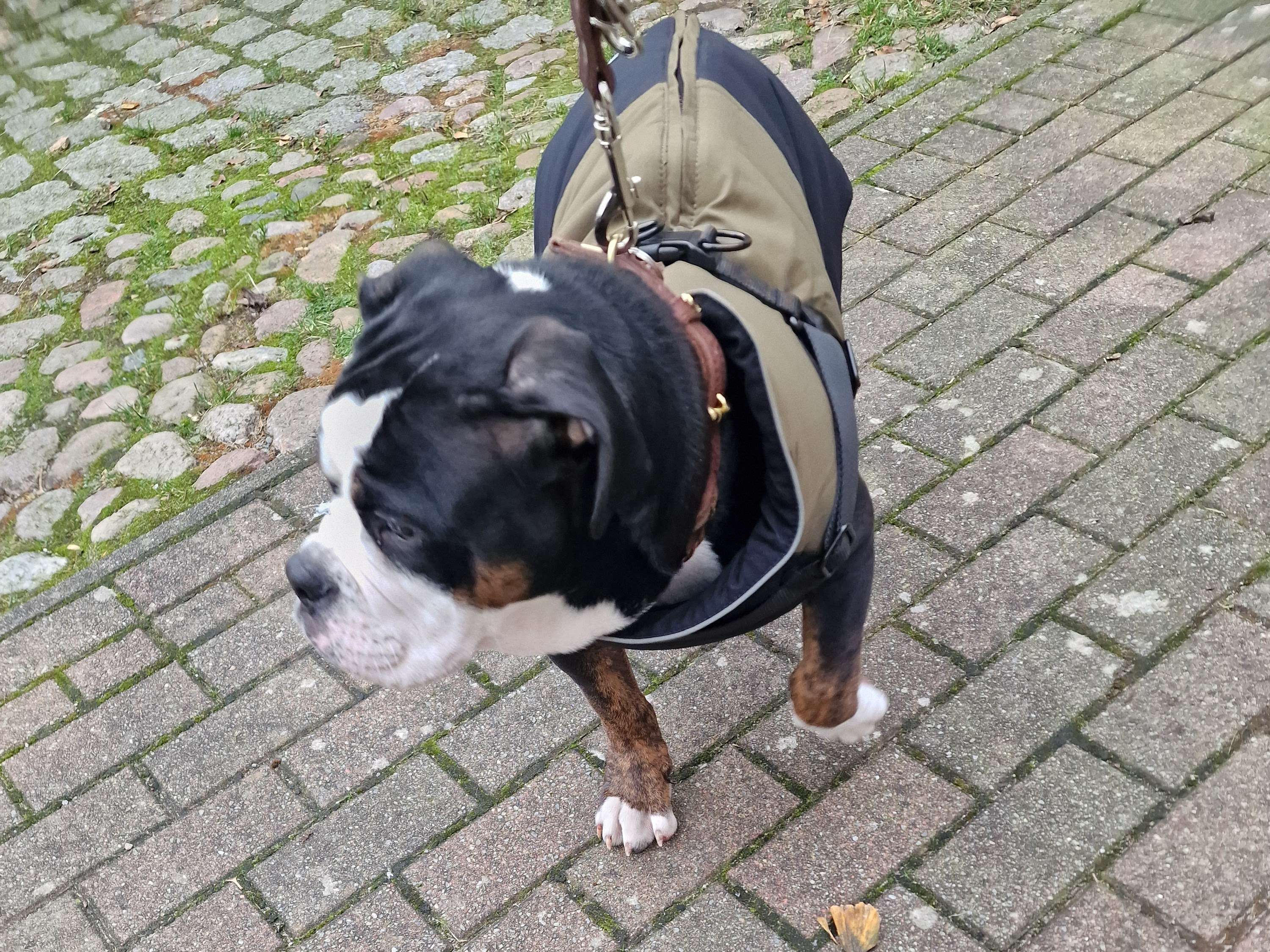 Ansicht 2 von Tierarzt Hendrik Somschor