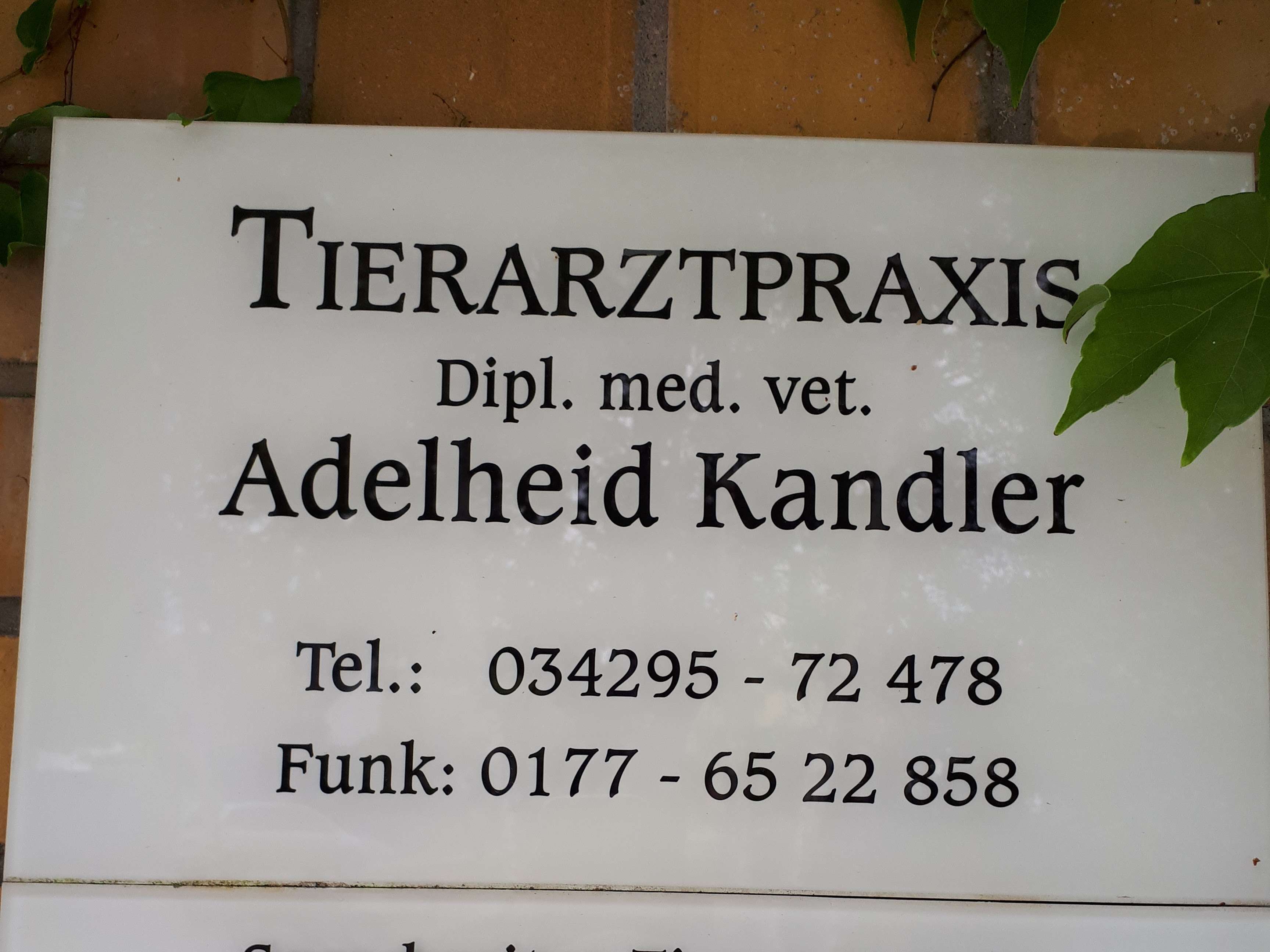 Ansicht 2 von Tierarztpraxis DVM Kandler