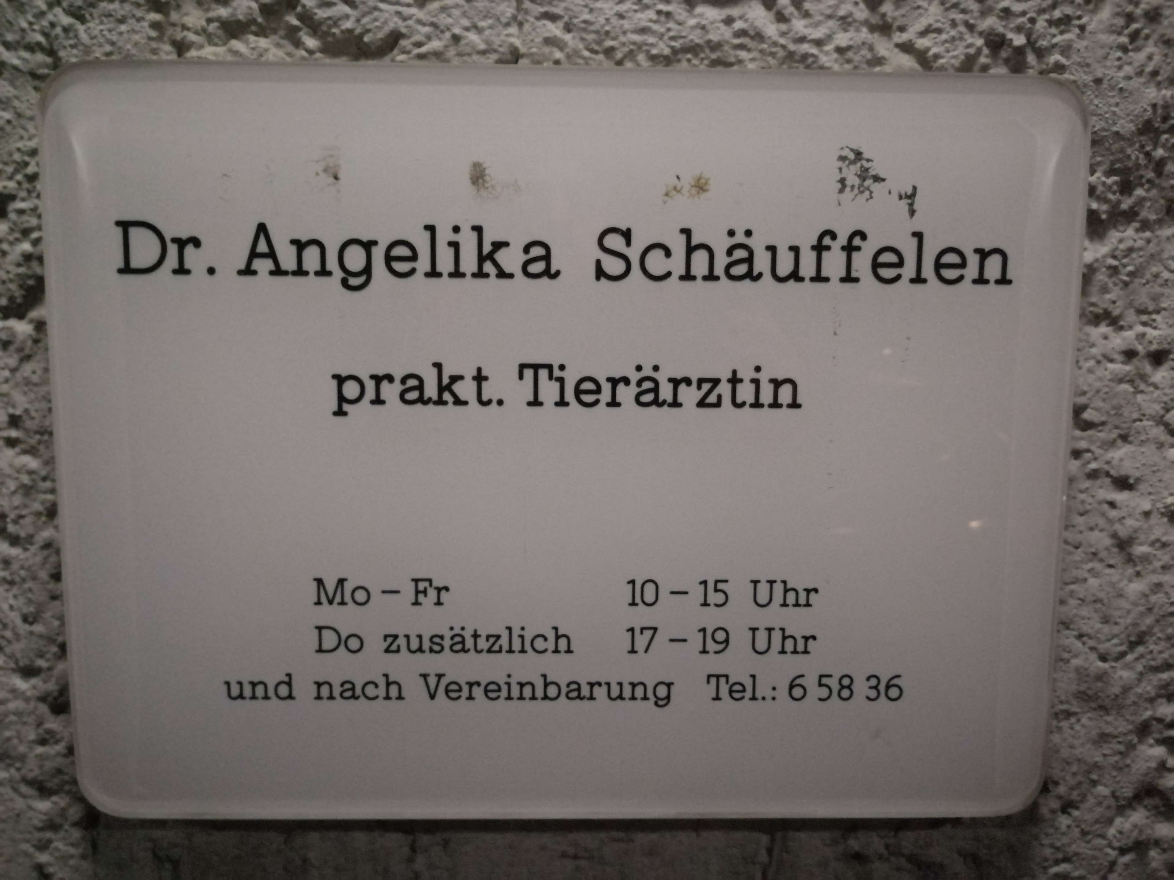 Ansicht 3 von Tierarztpraxis Ulm Dr. Angelika Schäuffelen