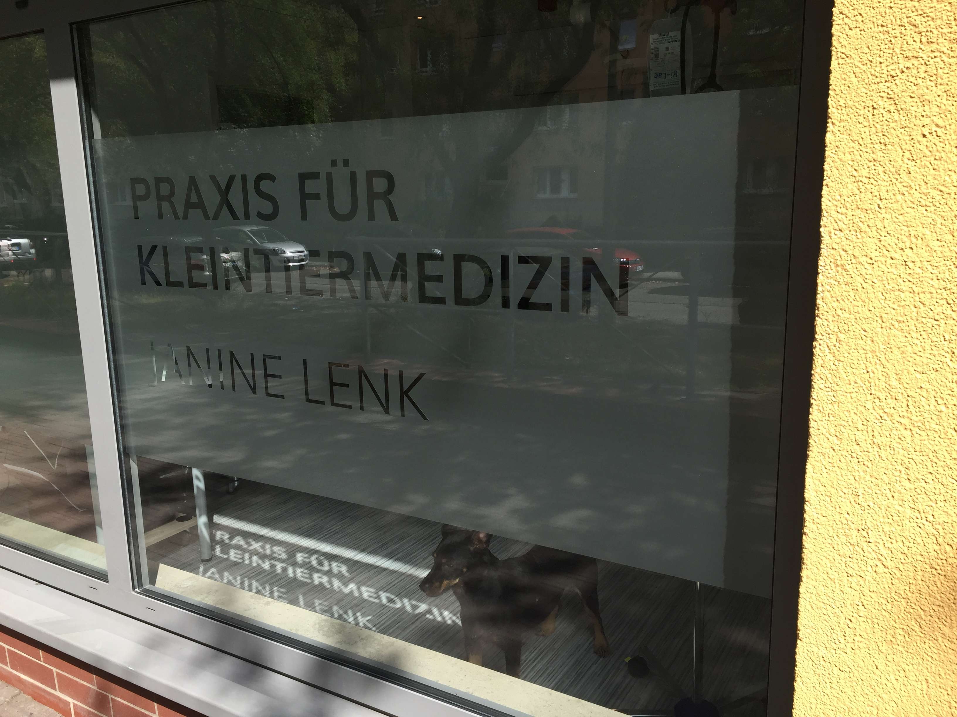 Ansicht 4 von Praxis für Kleintiermedizin Janine Lenk