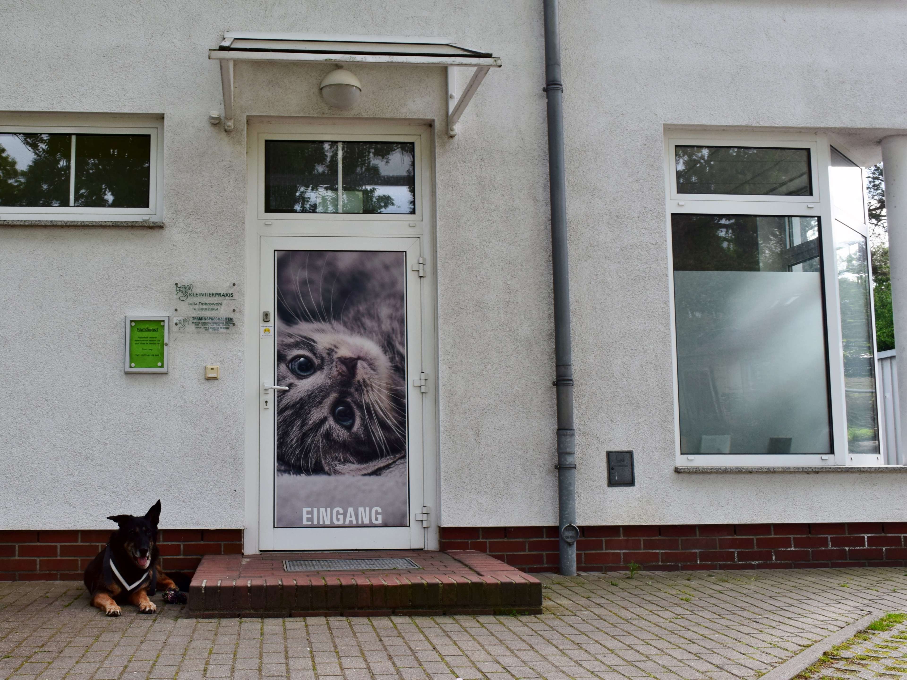 Ansicht 5 von Tierarztpraxis Julia Dobrowohl