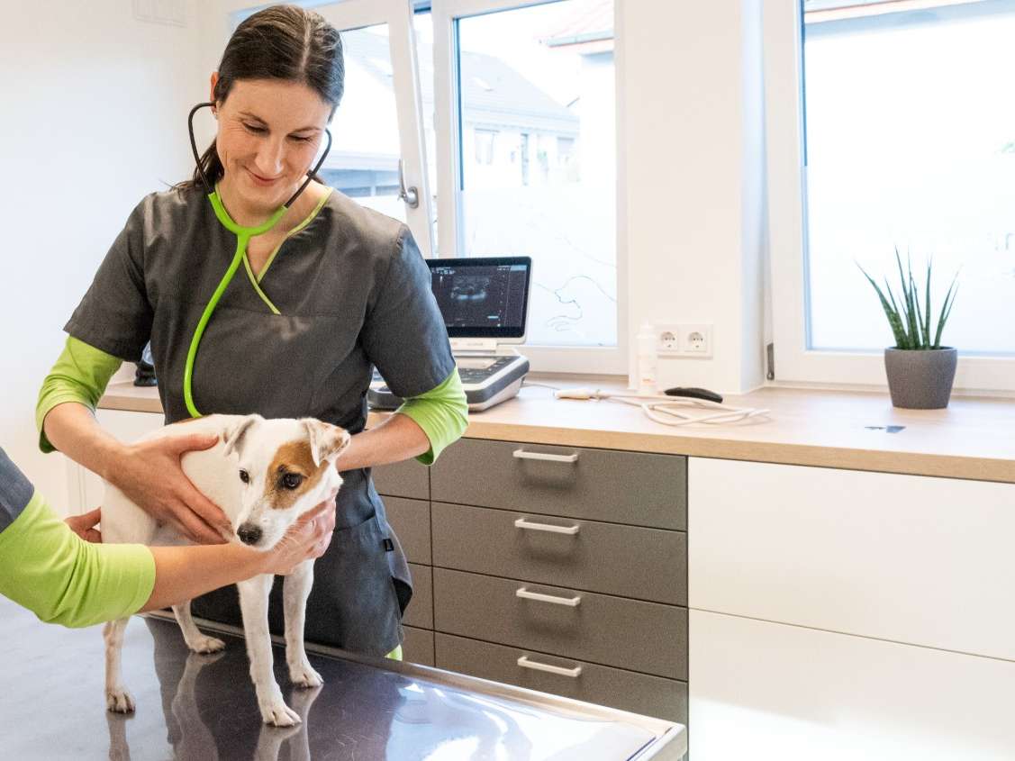 Ansicht 1 von Tierärztin Sabrina Hendel